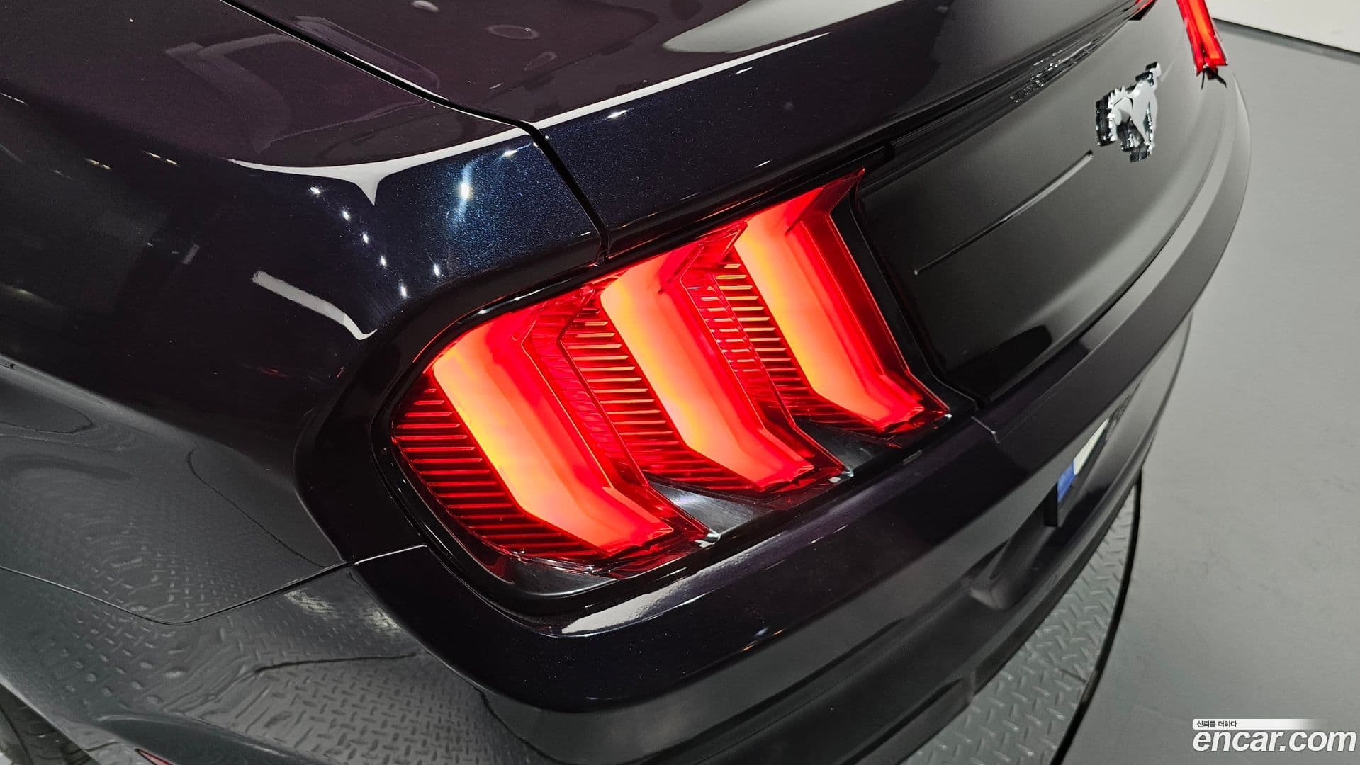 Main__Slider__Photo:Mustang Ford 2022.10-22
