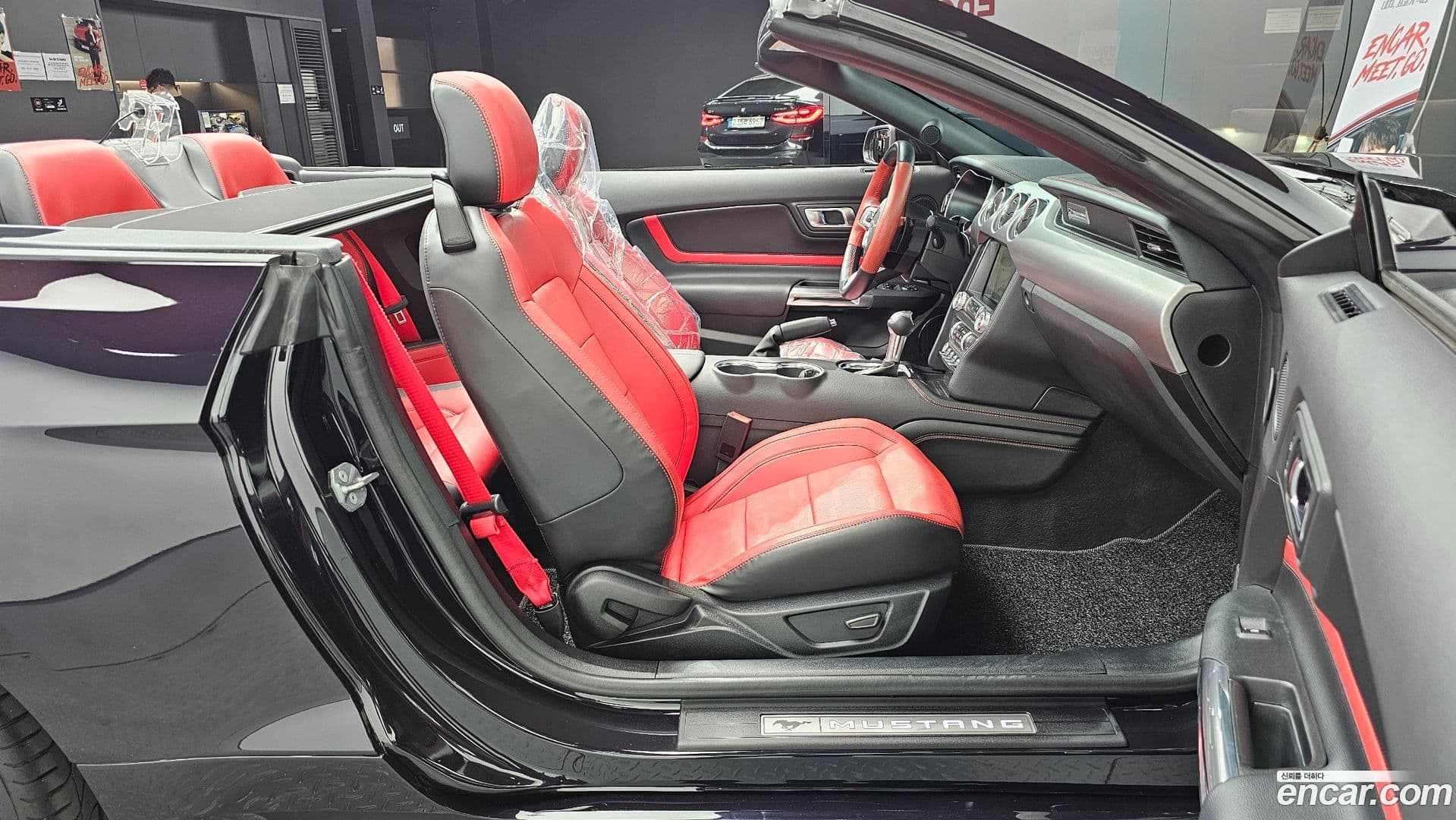 Main__Slider__Photo:Mustang Ford 2022.10-25