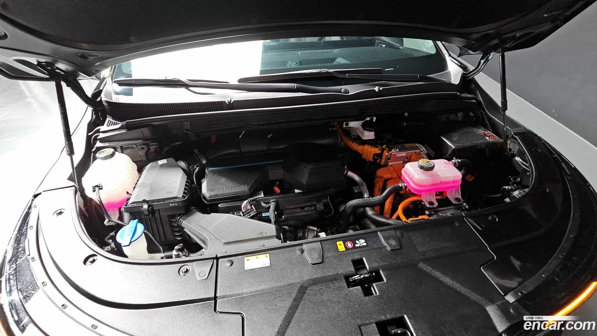 Canival Kia 2024.5-OUTER-006