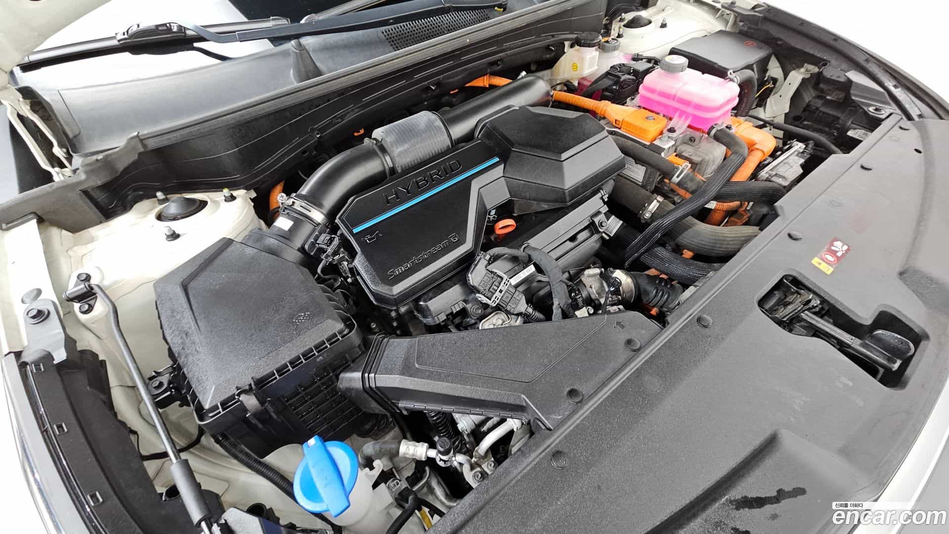 Sportage Kia 2023.0-OUTER-006