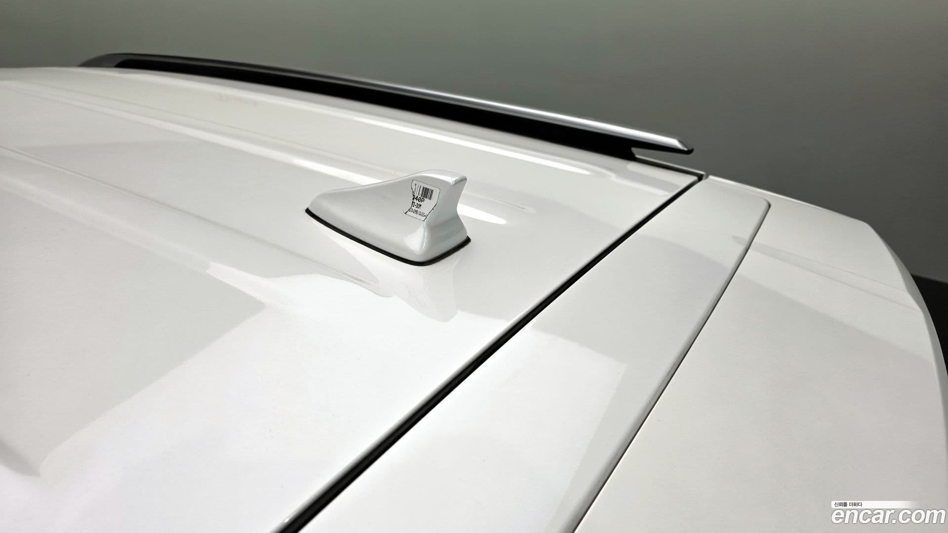 Main__Slider__Photo:Seltos Kia 2021.5-30