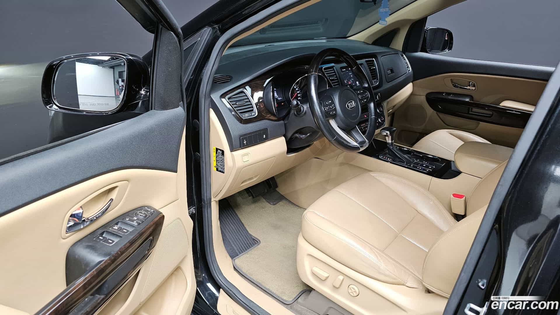 Canival Kia 2018.7-OPTION-016
