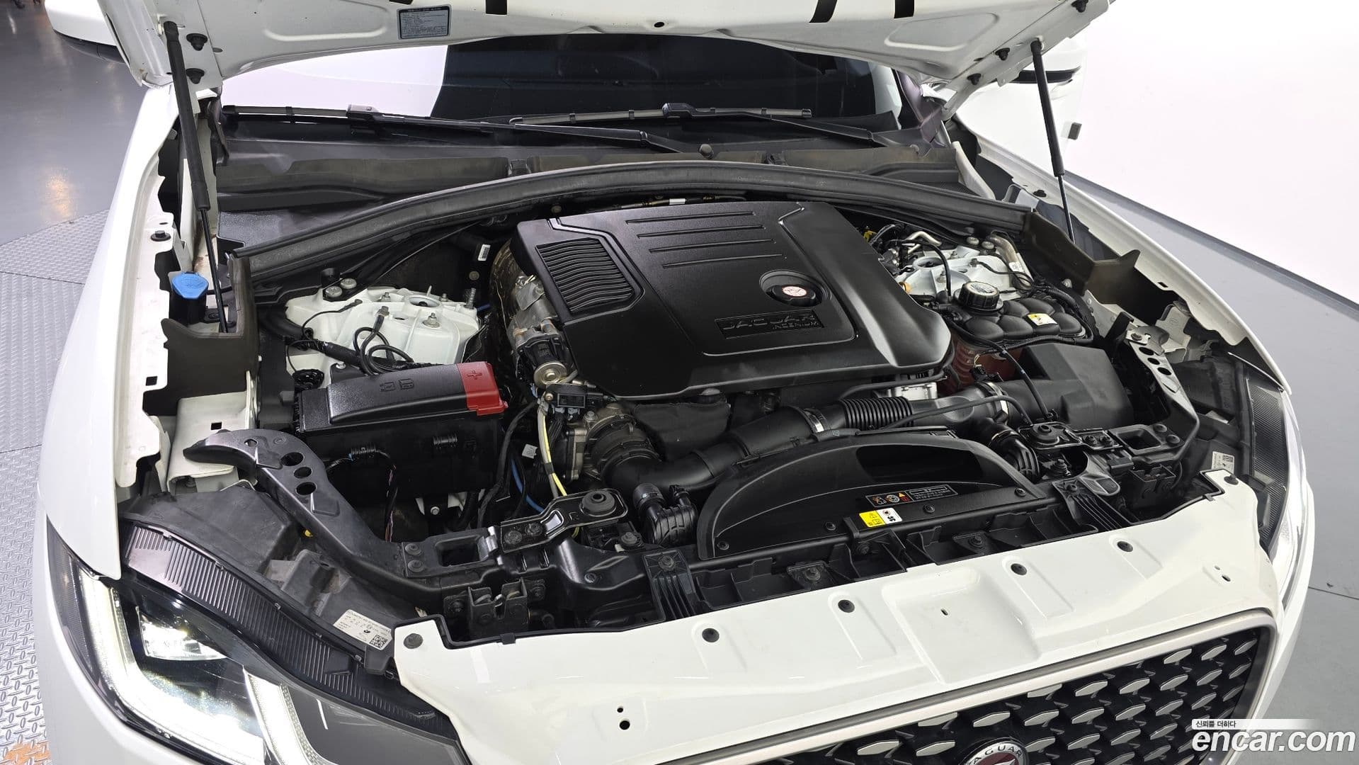 Main__Slider__Photo:F-PACE Jaguar 2022.1-5