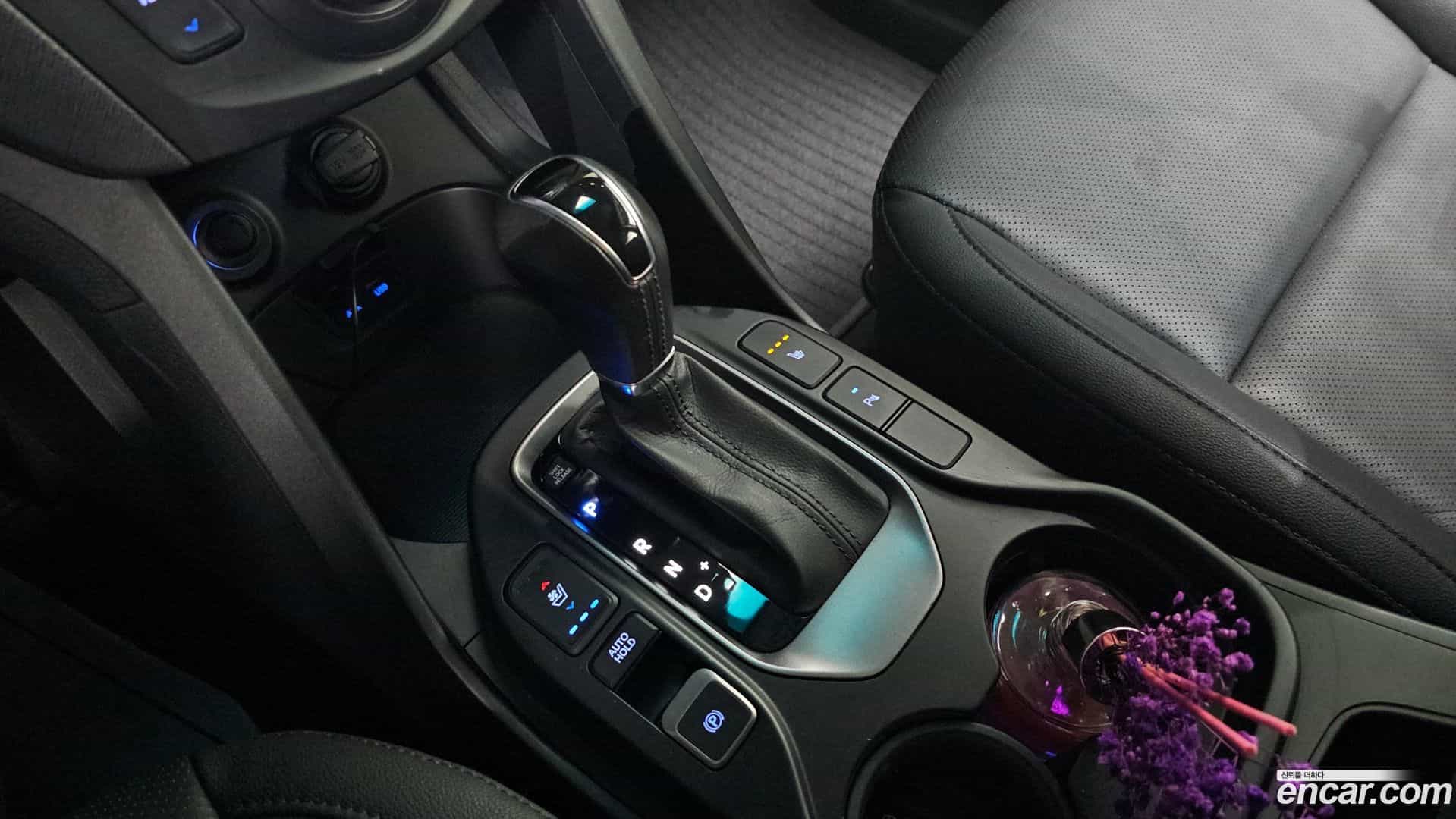 Santafe Hyundai 2013.6-INNER-009