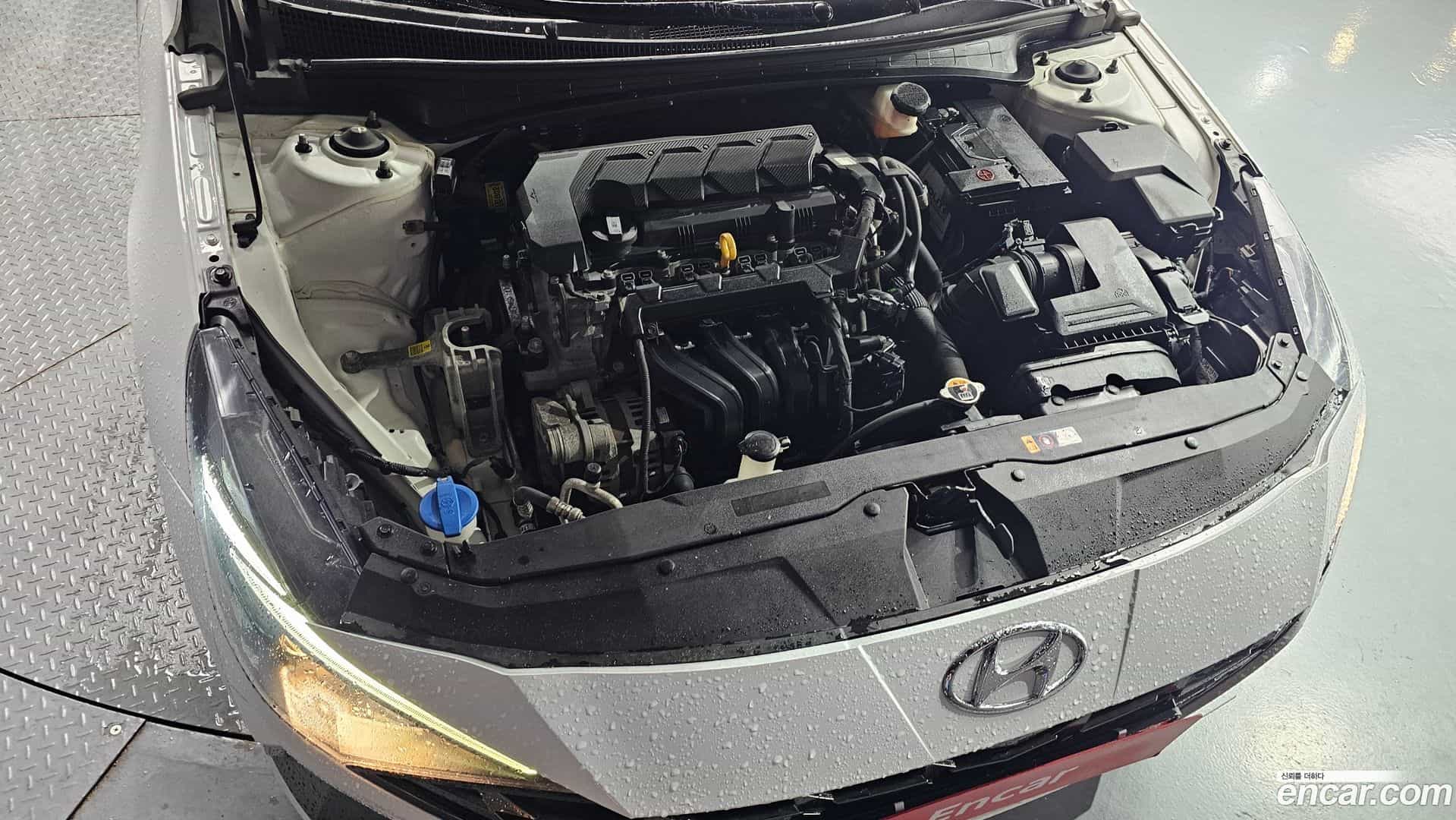 AVANTE Hyundai 2021.6-OUTER-006