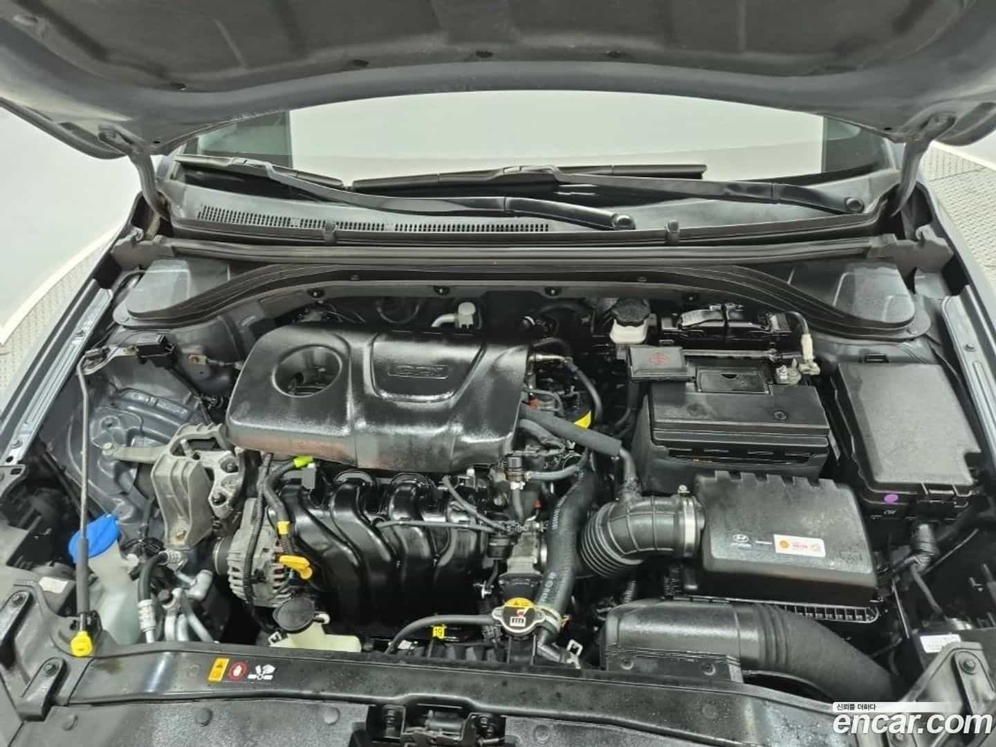 AVANTE Hyundai 2017.6-OUTER-006