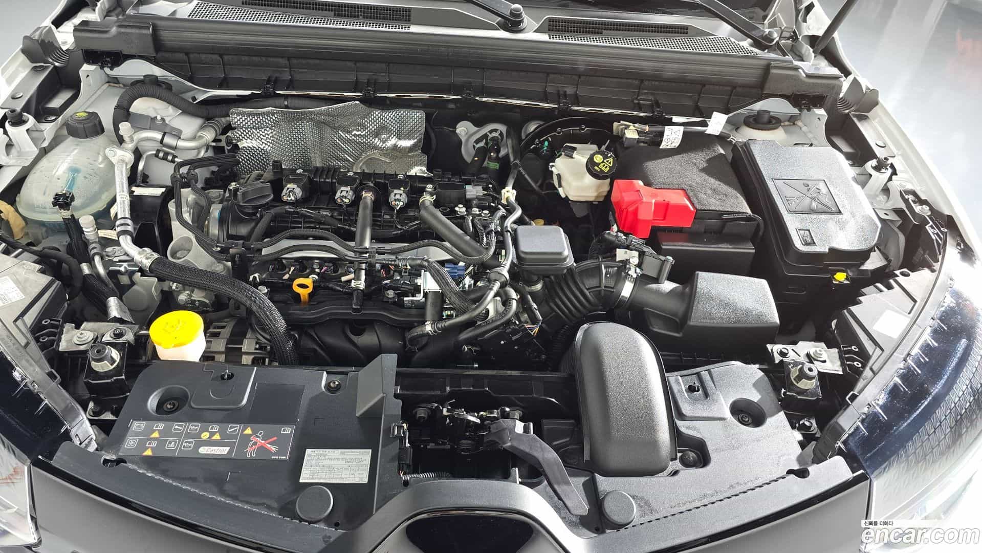 Arkana Renault Korea 2025.5-OUTER-006