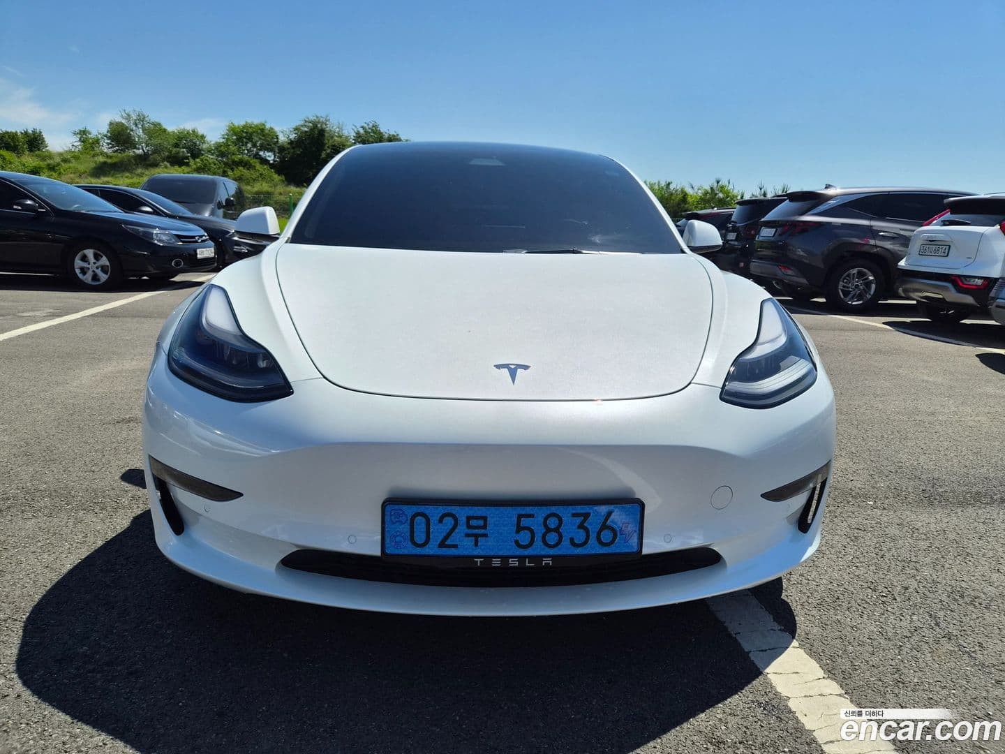 Main__Slider__Photo:Model 3 Tesla 2022.2-0