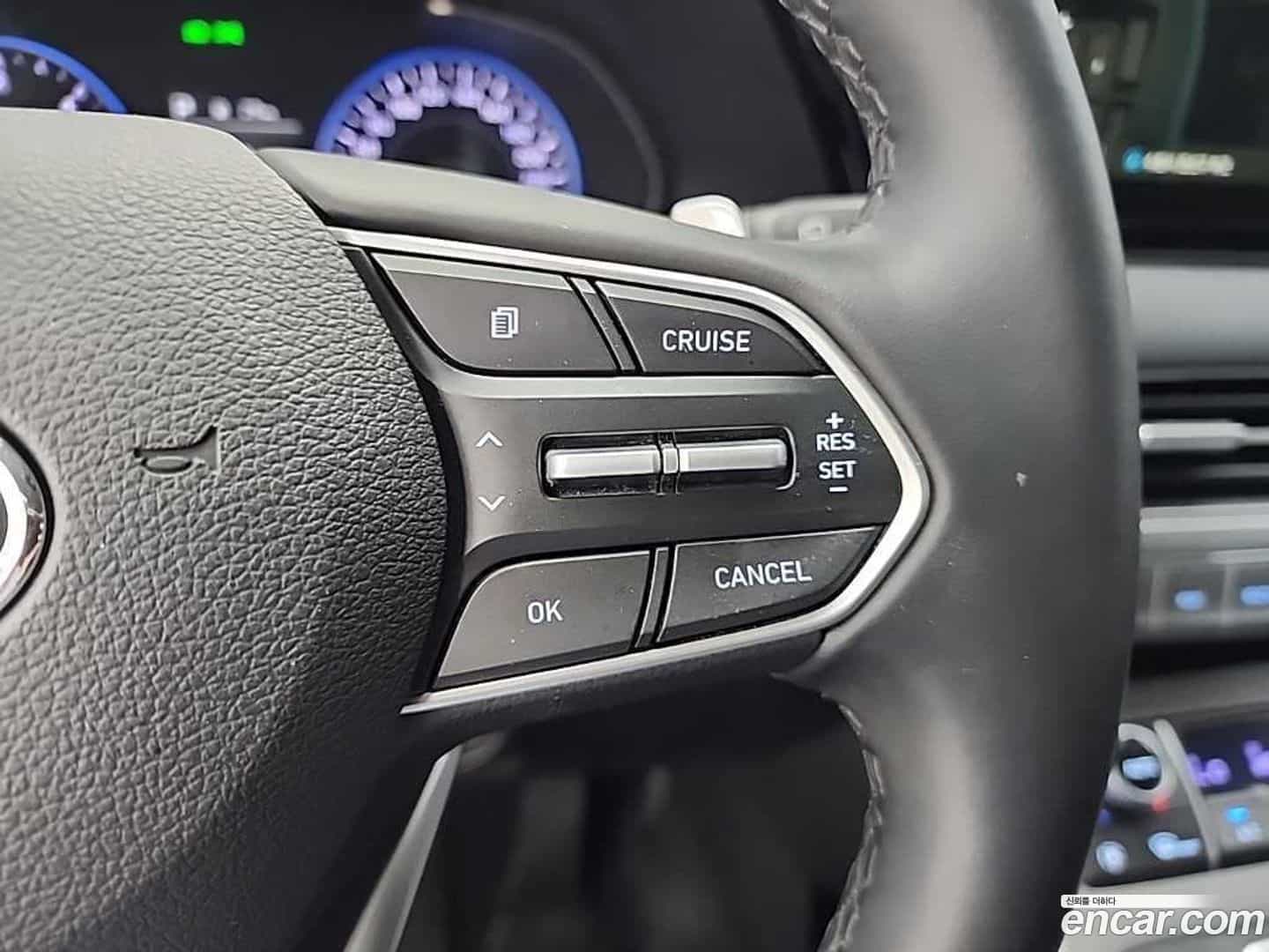 Palisade Hyundai 2020.3-OPTION-021