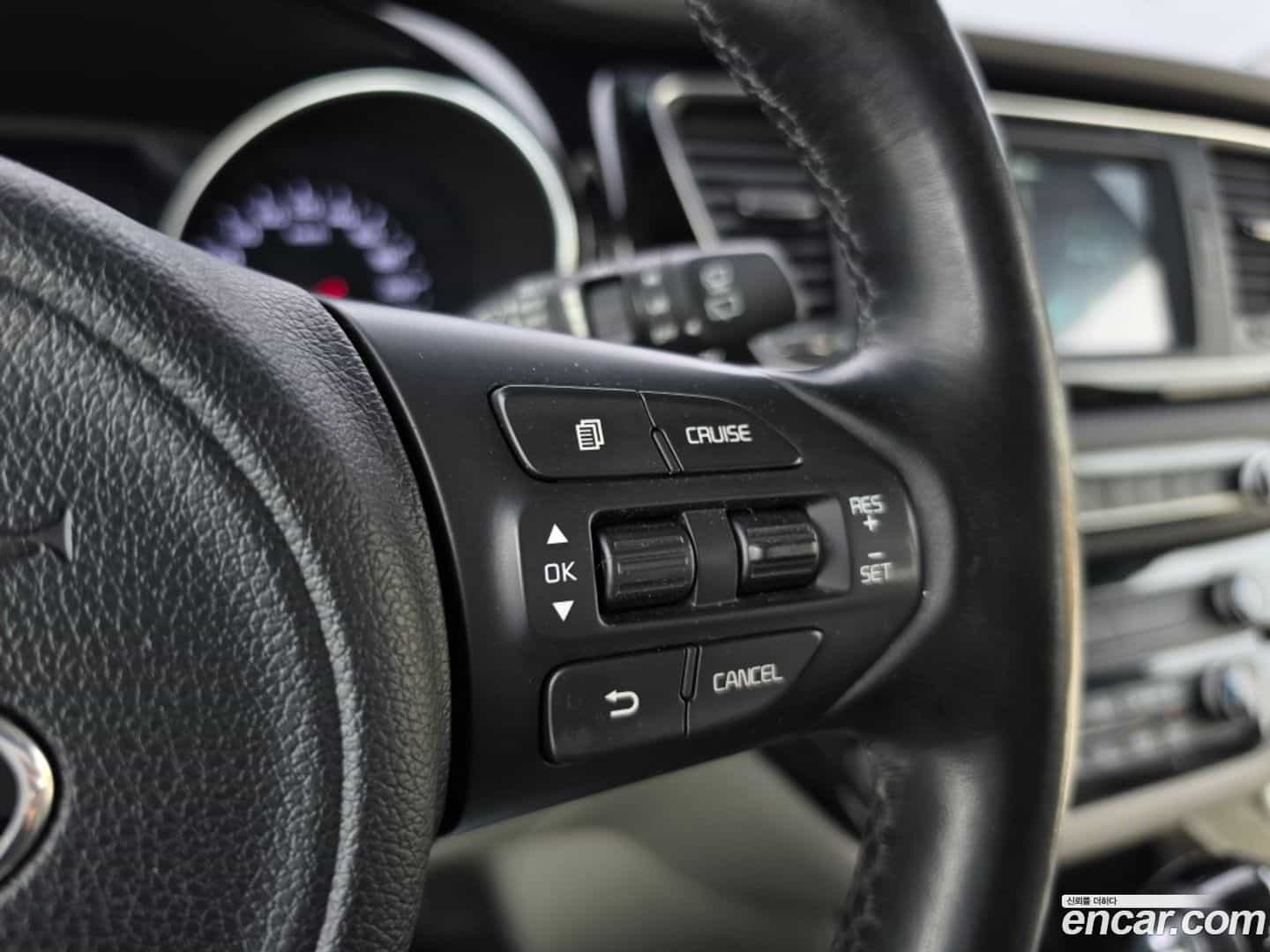 Canival Kia 2014.8-OPTION-018