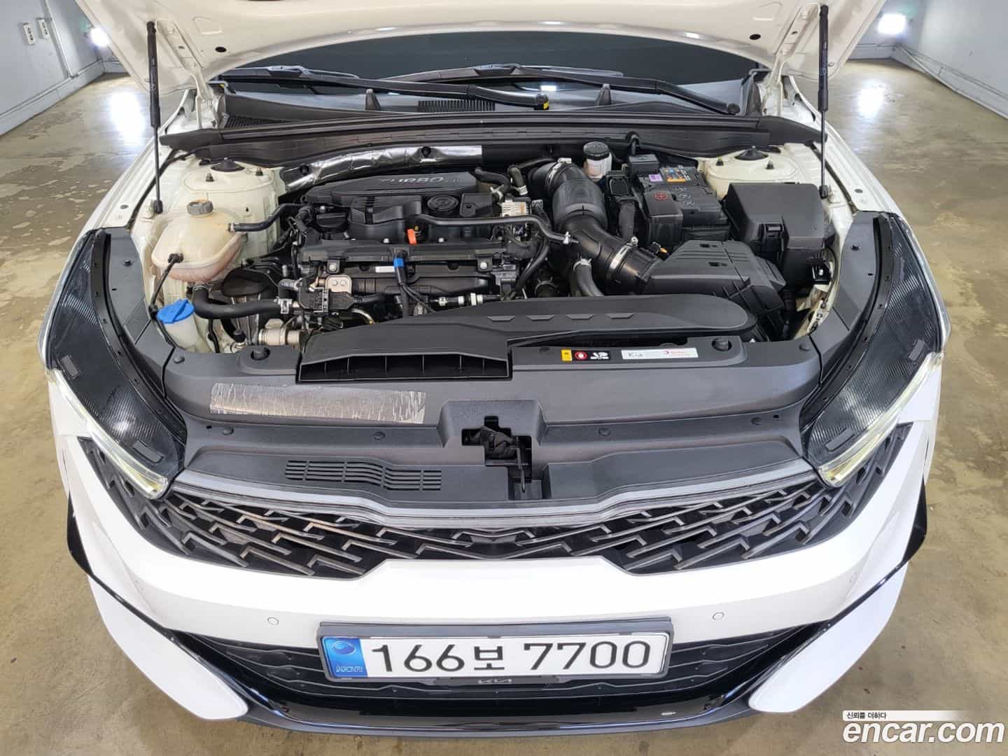 K5 Kia 2021.11-OPTION-020