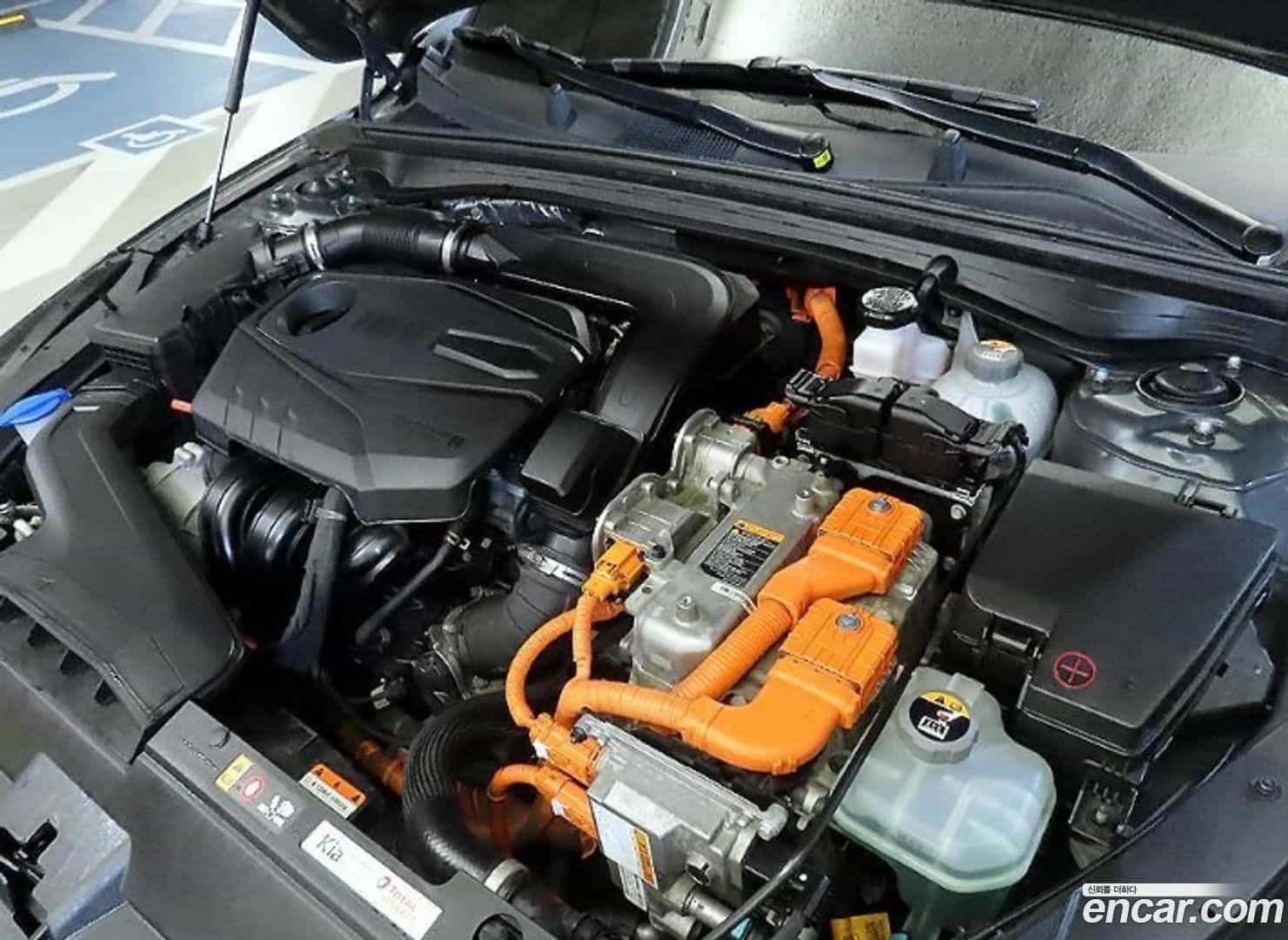 K5 Kia 2020.6-OPTION-023