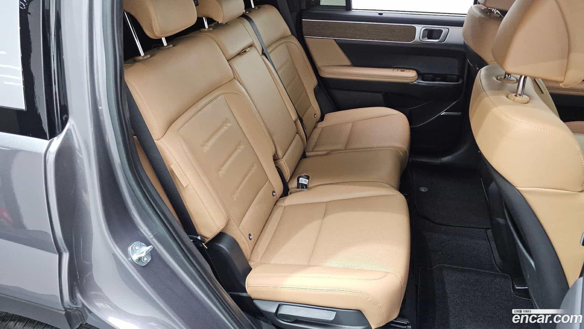 Santafe Hyundai 2024.7-OPTION-015