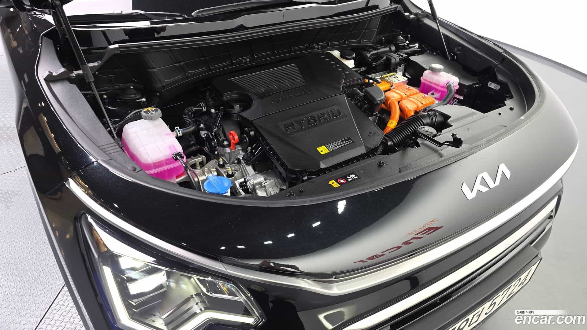 Niro Kia 2025.6-OUTER-006
