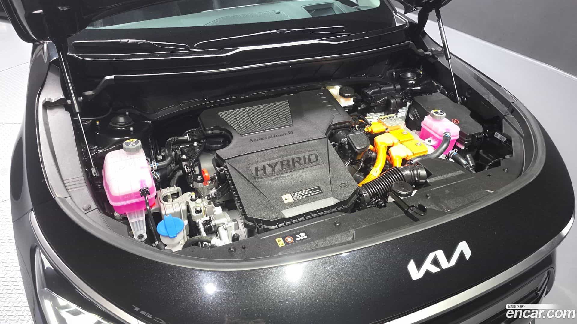 Niro Kia 2025.6-OUTER-006