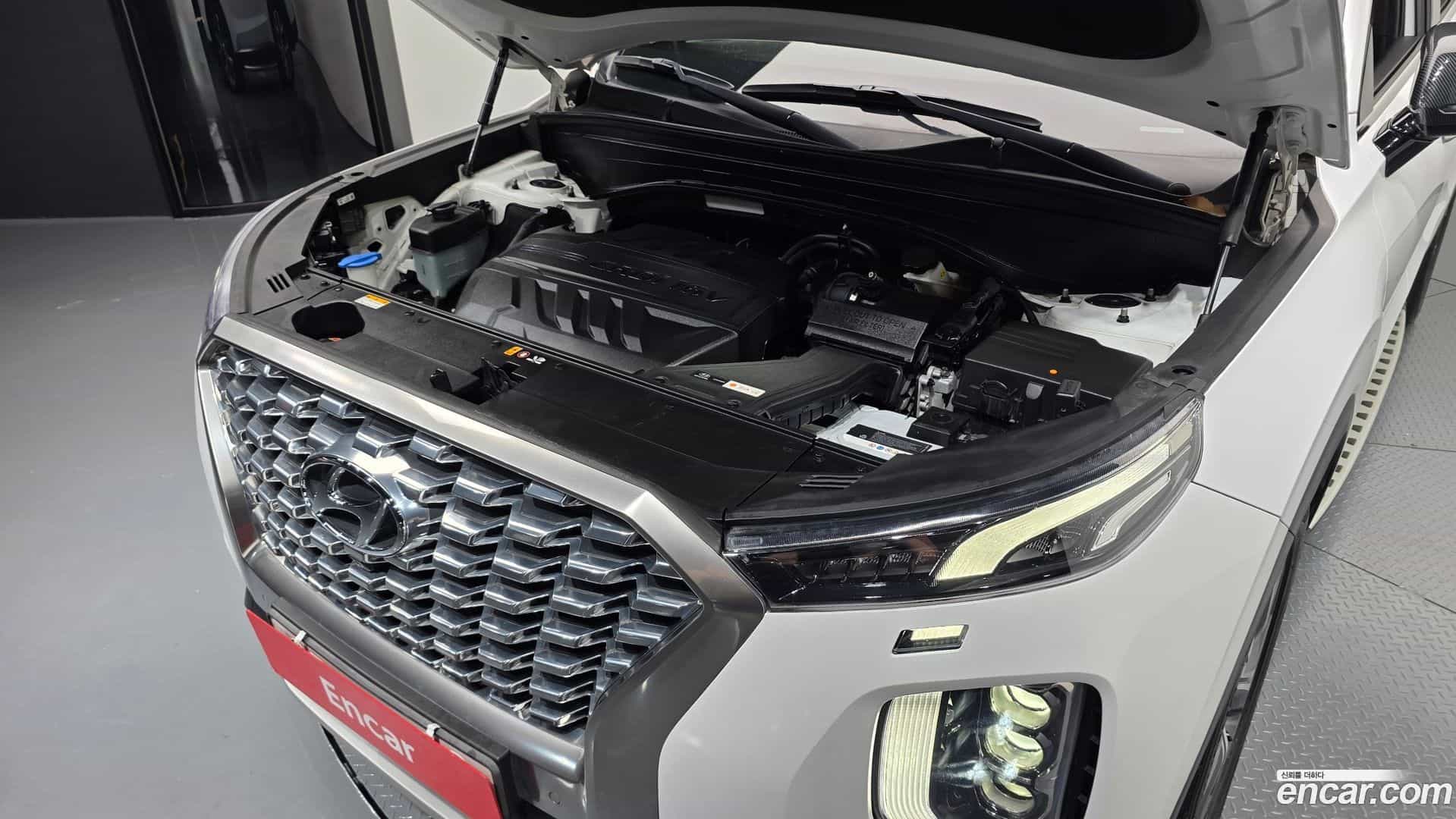 Palisade Hyundai 2019.6-OUTER-006