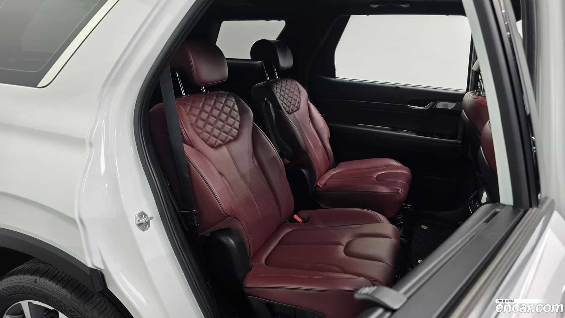 Palisade Hyundai 2019.6-OPTION-015