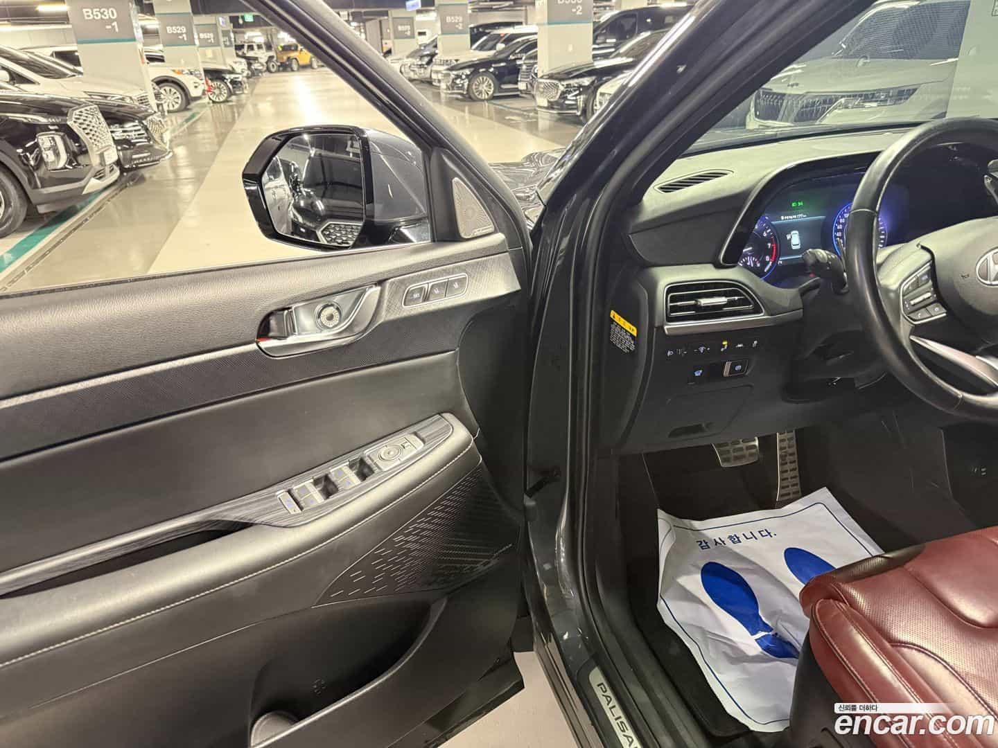 Palisade Hyundai 2019.1-OPTION-015