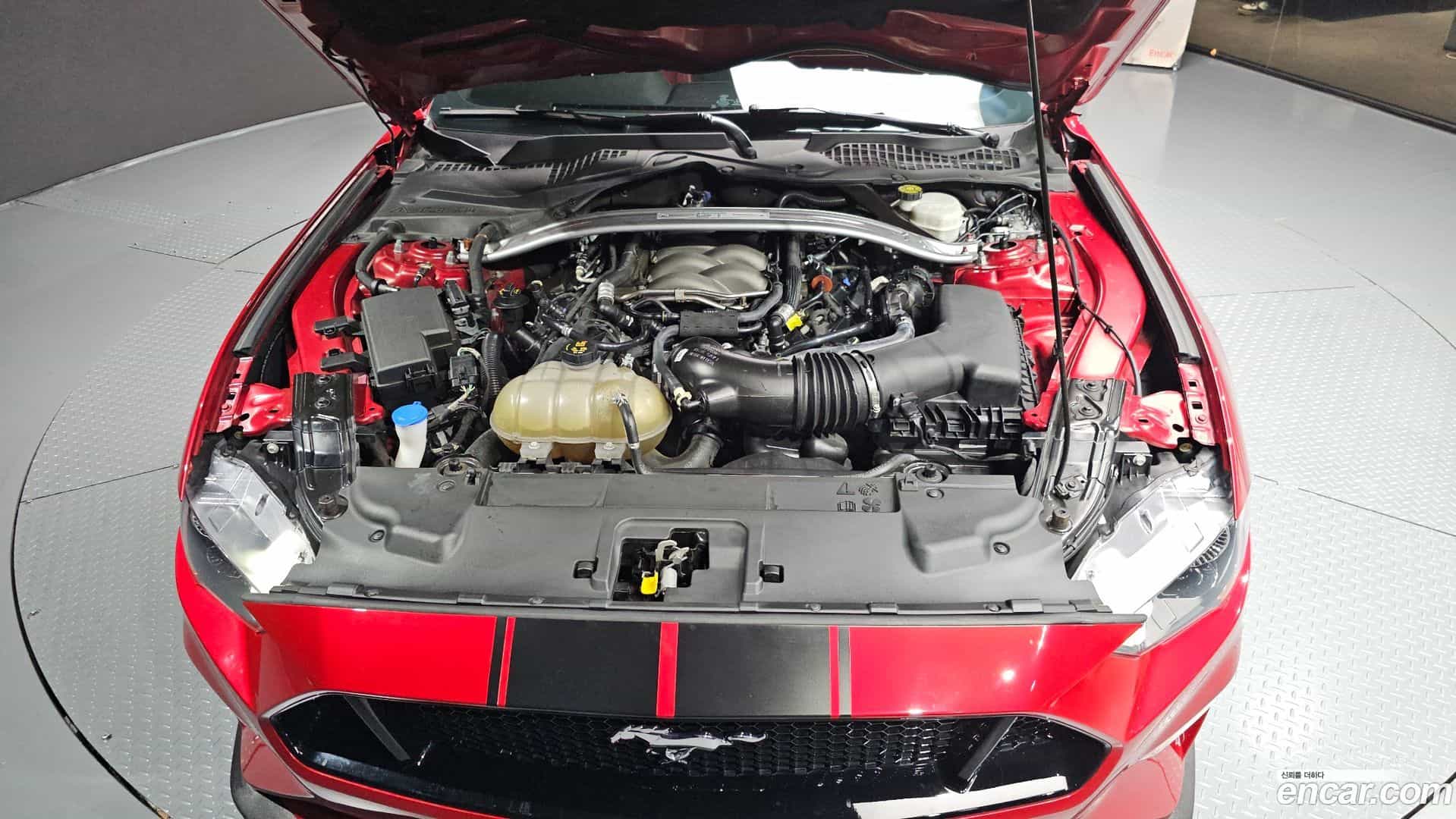 Mustang Ford 2020.11-OUTER-006