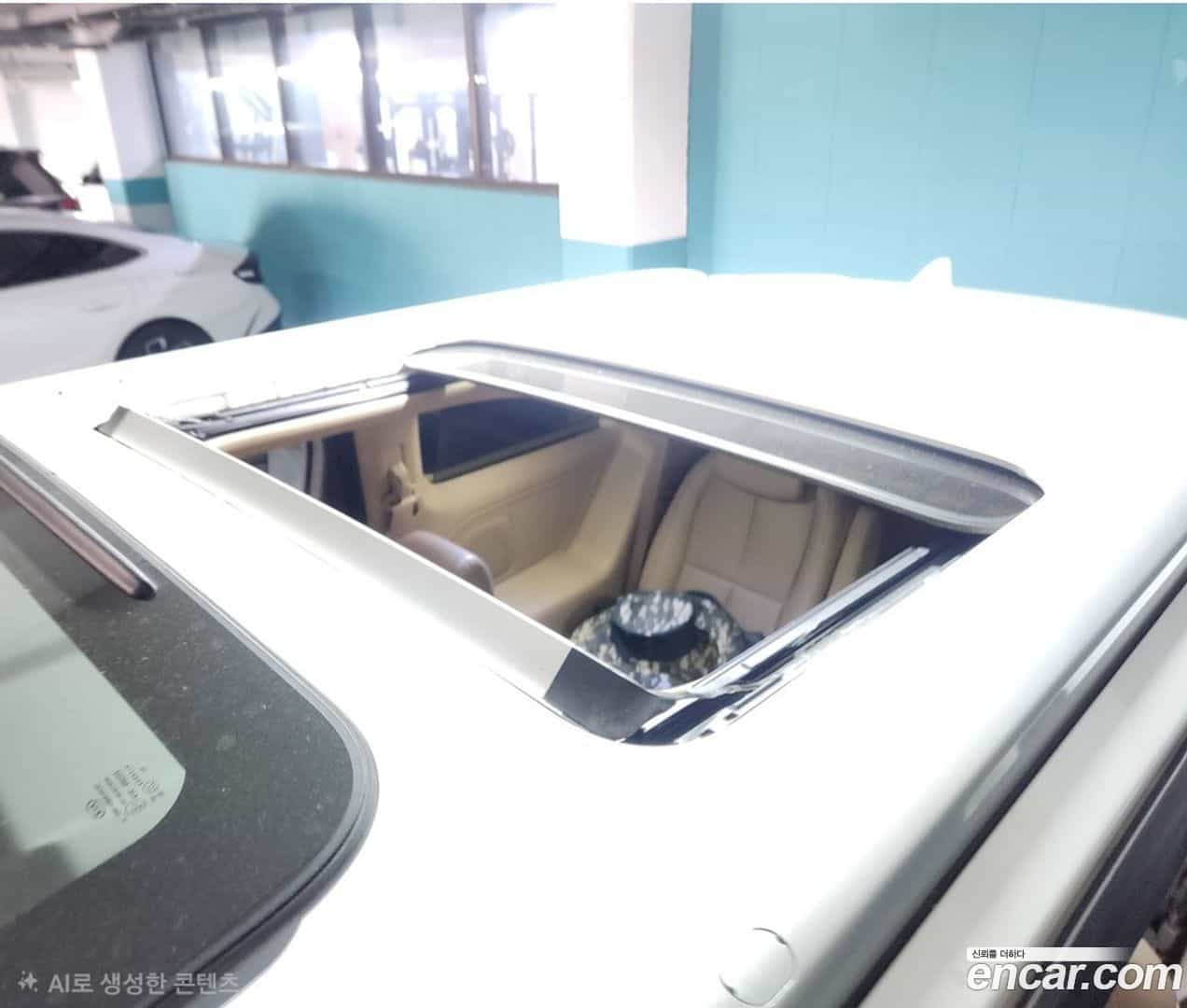 Canival Kia 2018.9-OPTION-022