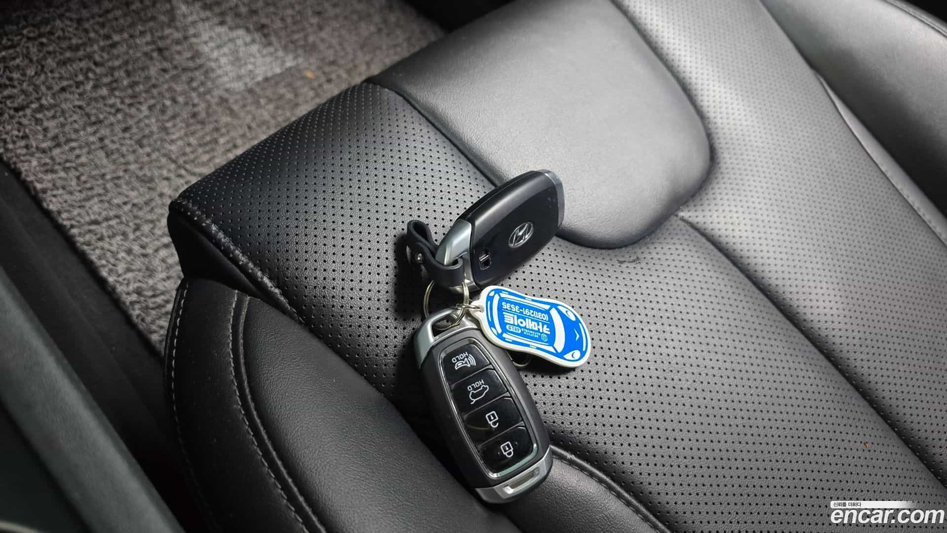 Santafe Hyundai 2019.3-OPTION-020