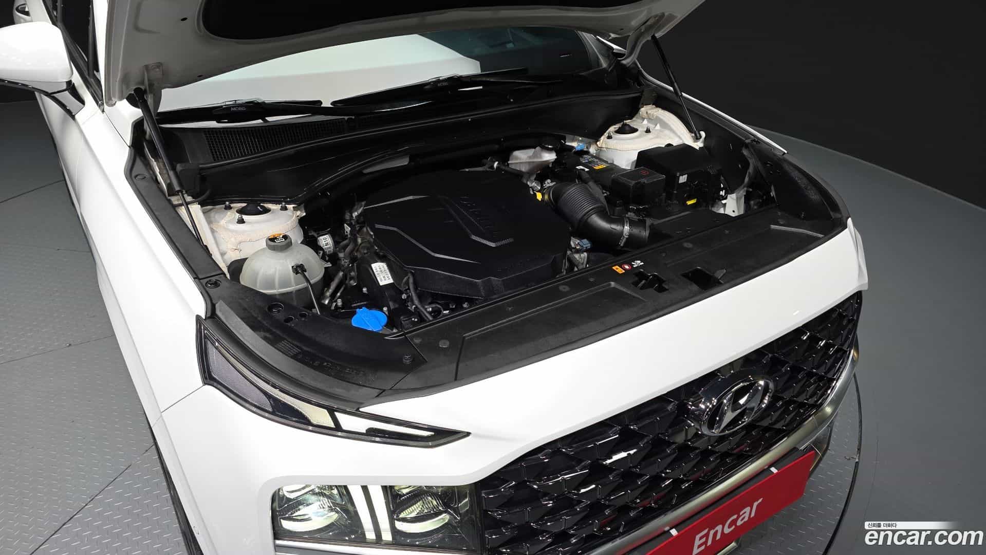 Santafe Hyundai 2020.6-OUTER-006