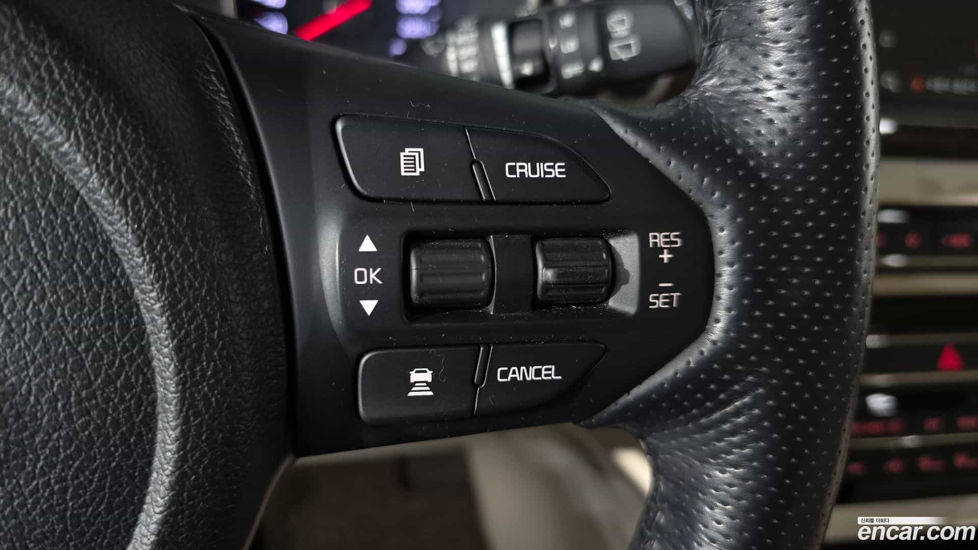 Canival Kia 2019.3-OPTION-020