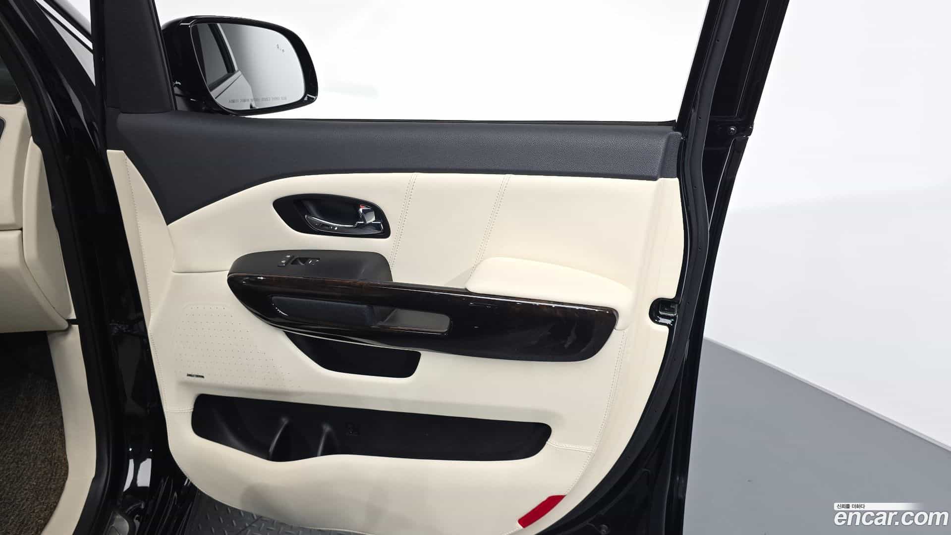 Canival Kia 2019.3-INNER-035