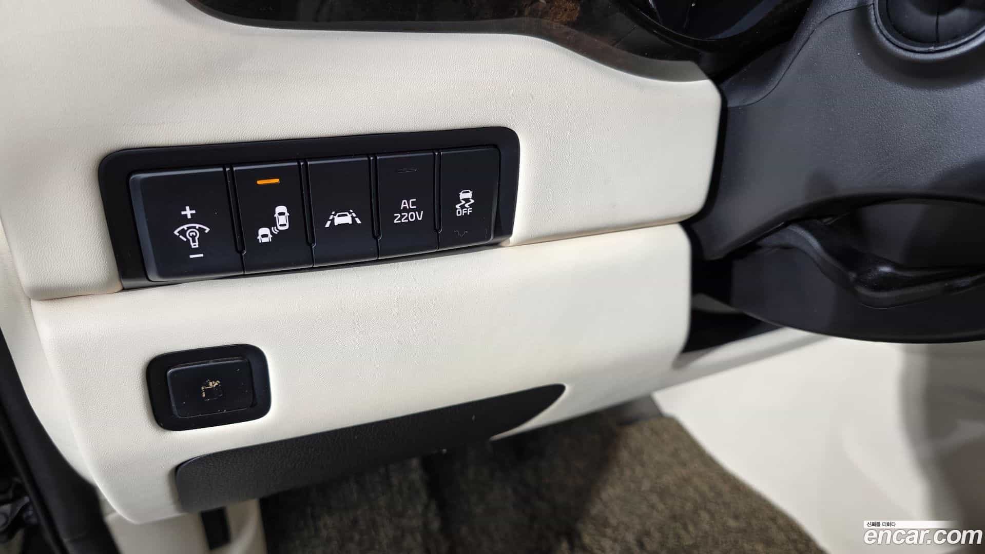 Canival Kia 2019.3-OPTION-043