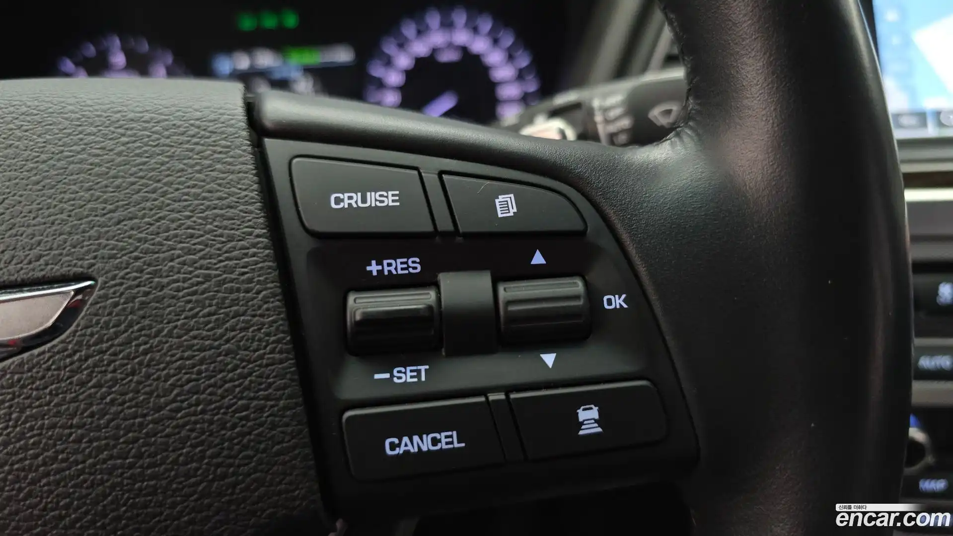 G80 Genesis 2019.0-OPTION-020