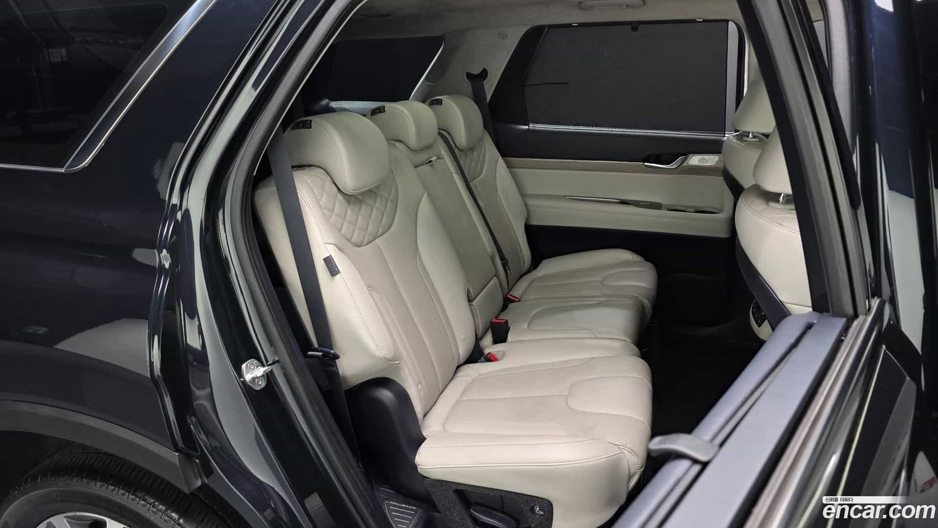 Palisade Hyundai 2019.0-OPTION-015