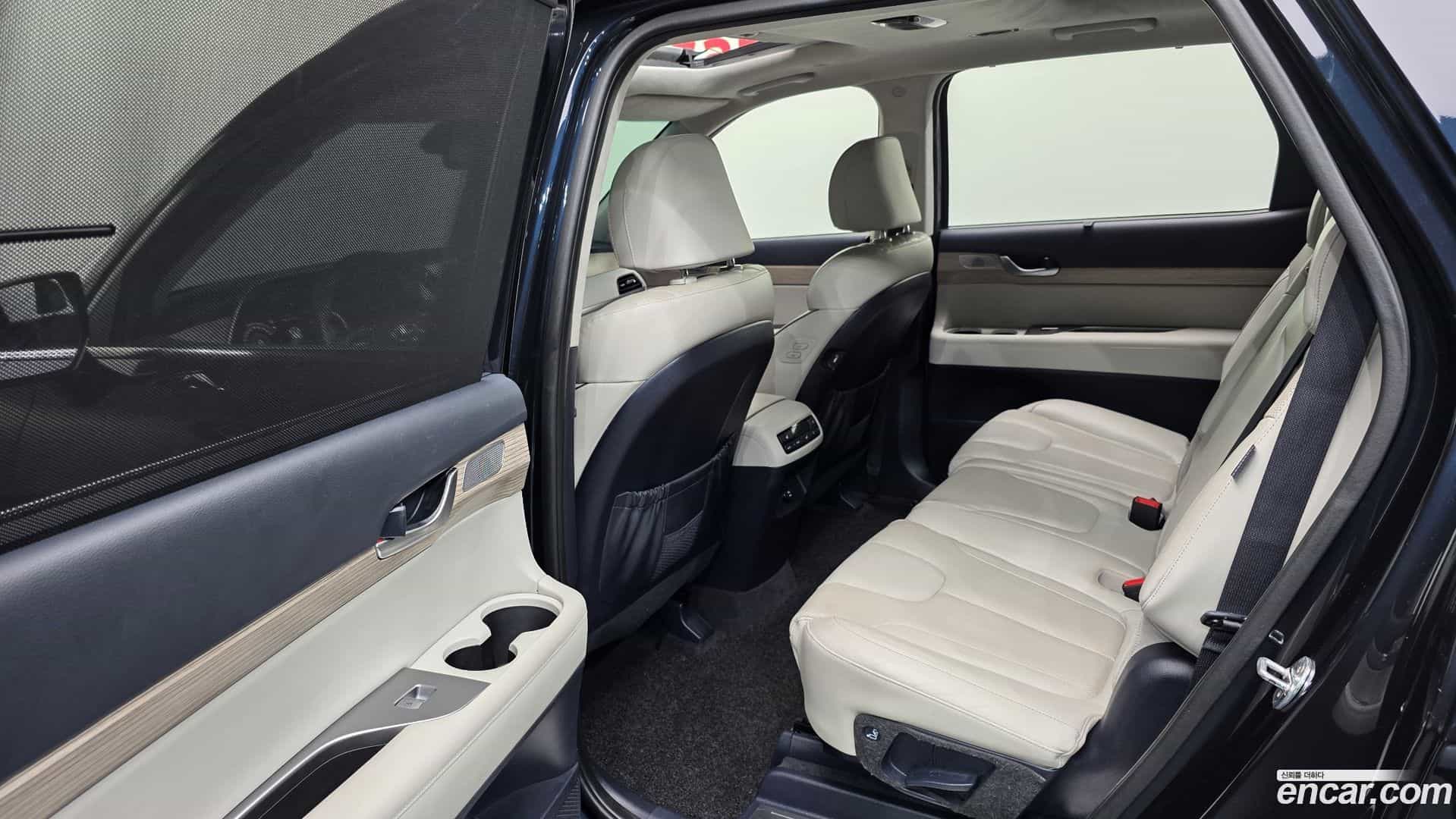 Palisade Hyundai 2019.0-OPTION-016