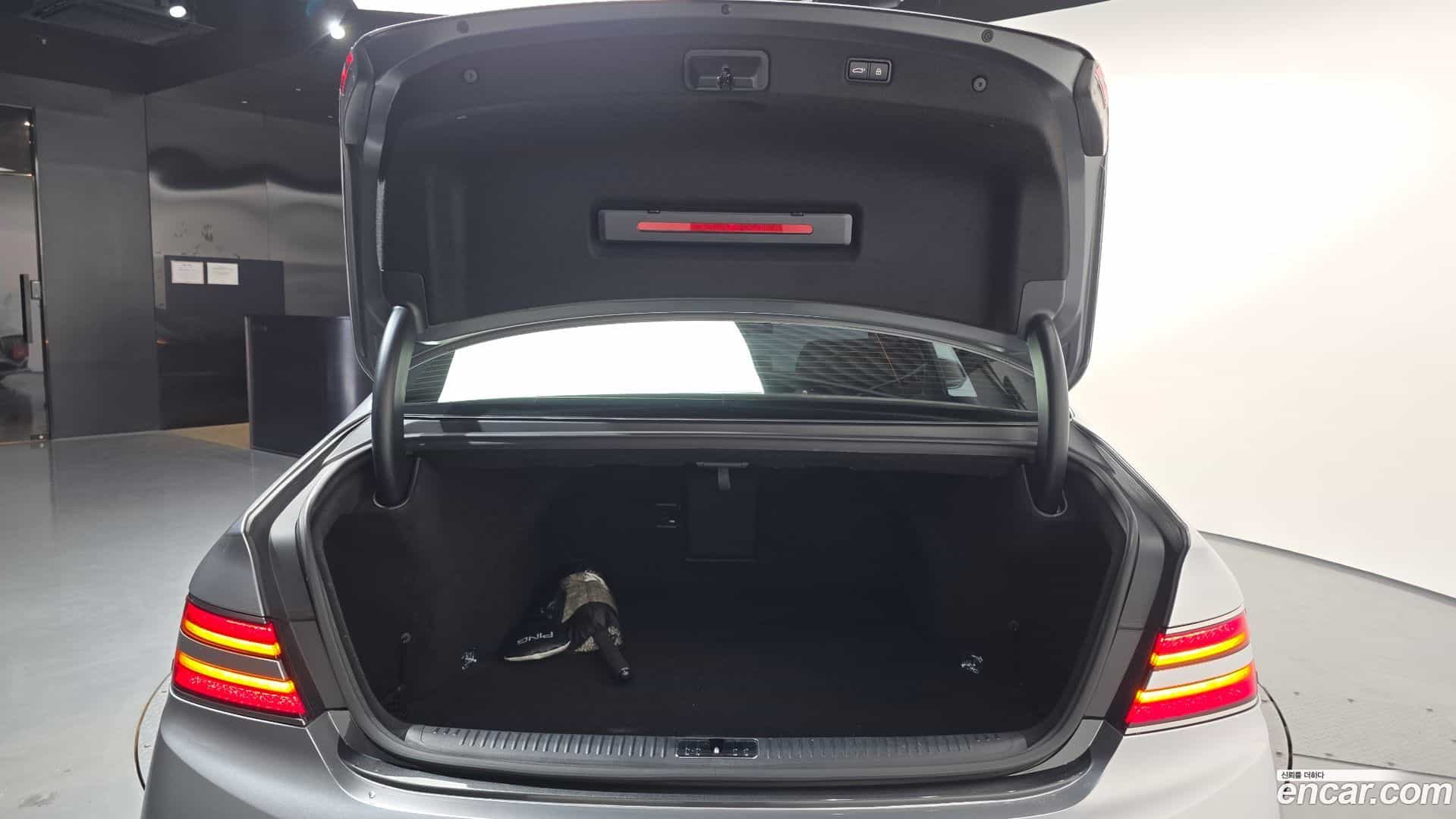 G90 Genesis 2019.3-OPTION-021