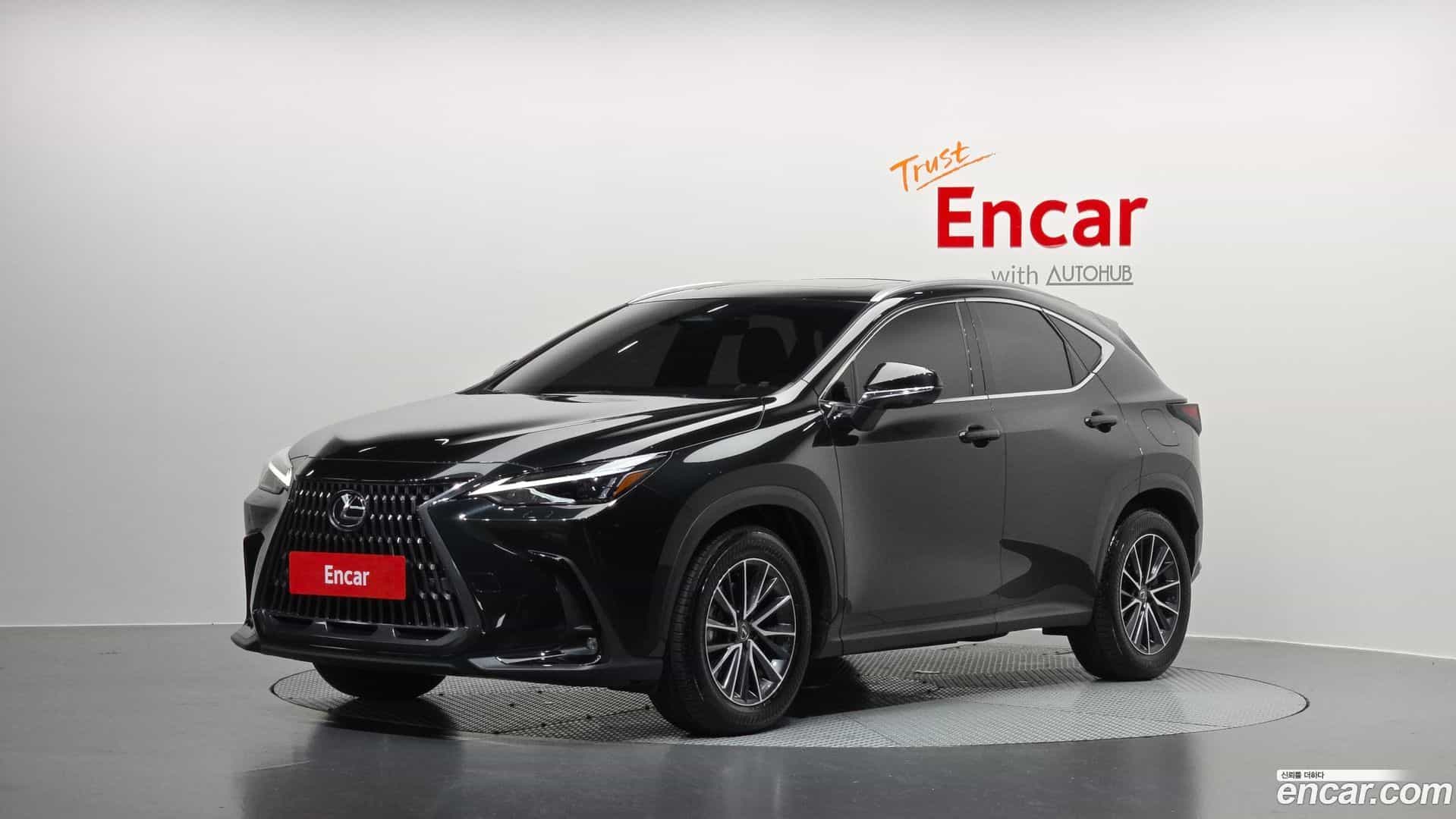 NX Lexus 2025.4-OUTER-001