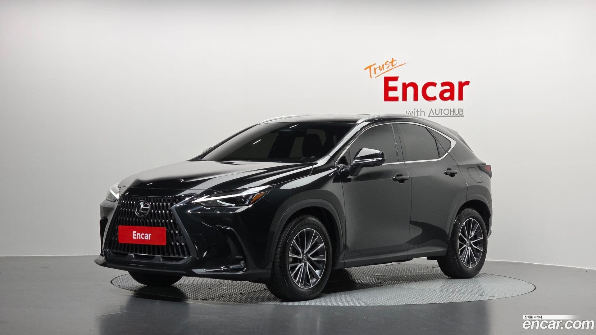 Main__Slider__Photo:NX Lexus 2025.4-0