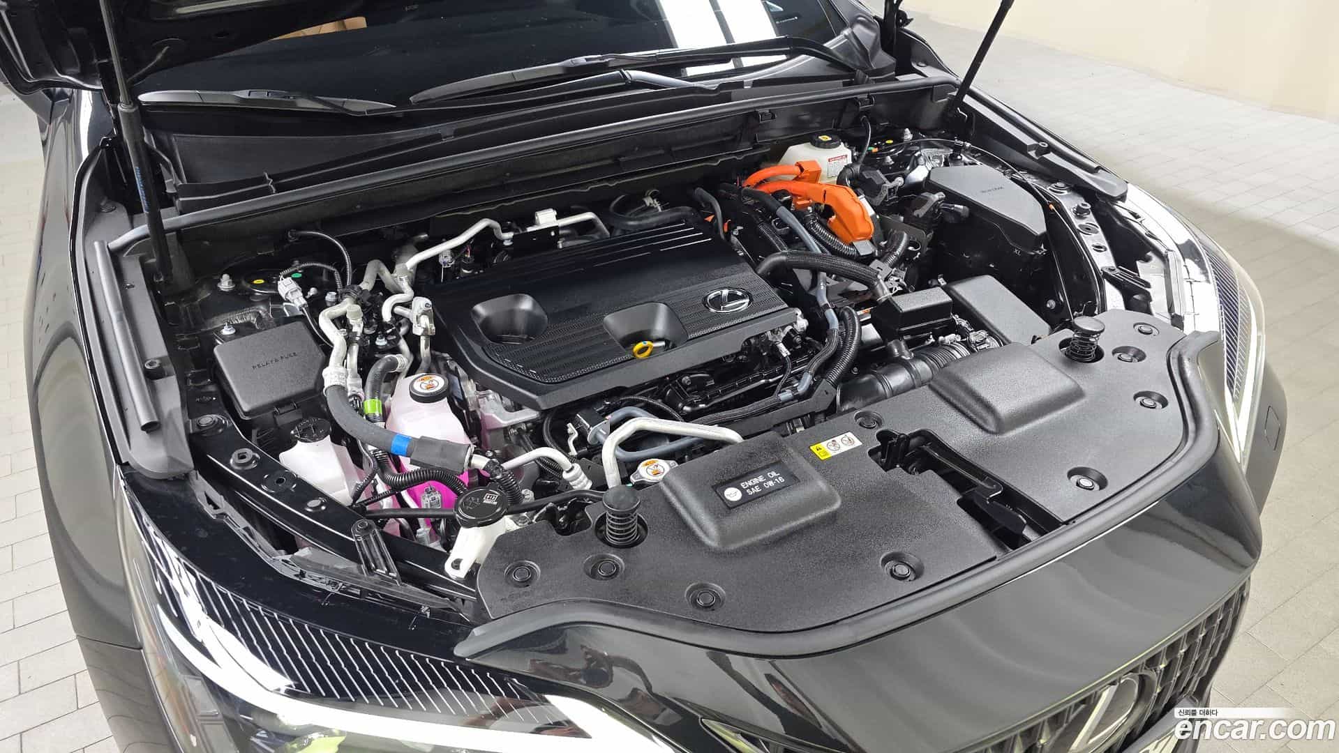 NX Lexus 2025.4-OUTER-006