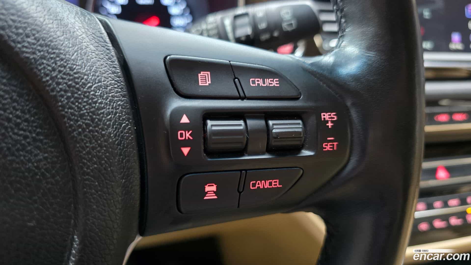 Canival Kia 2018.8-OPTION-021
