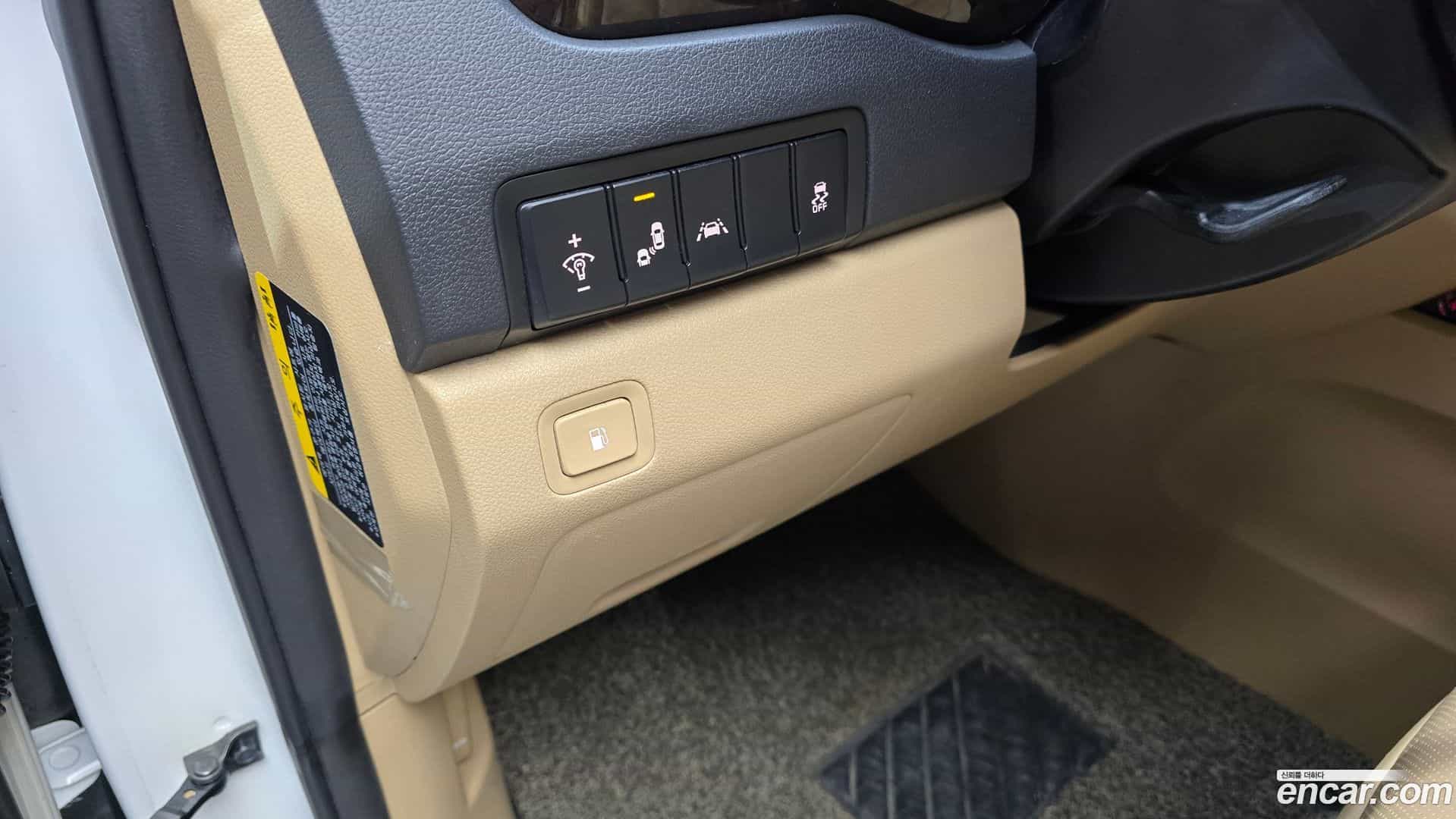 Canival Kia 2018.8-OPTION-022