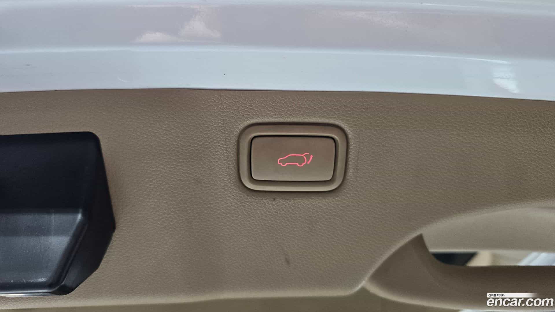Canival Kia 2018.8-OPTION-024