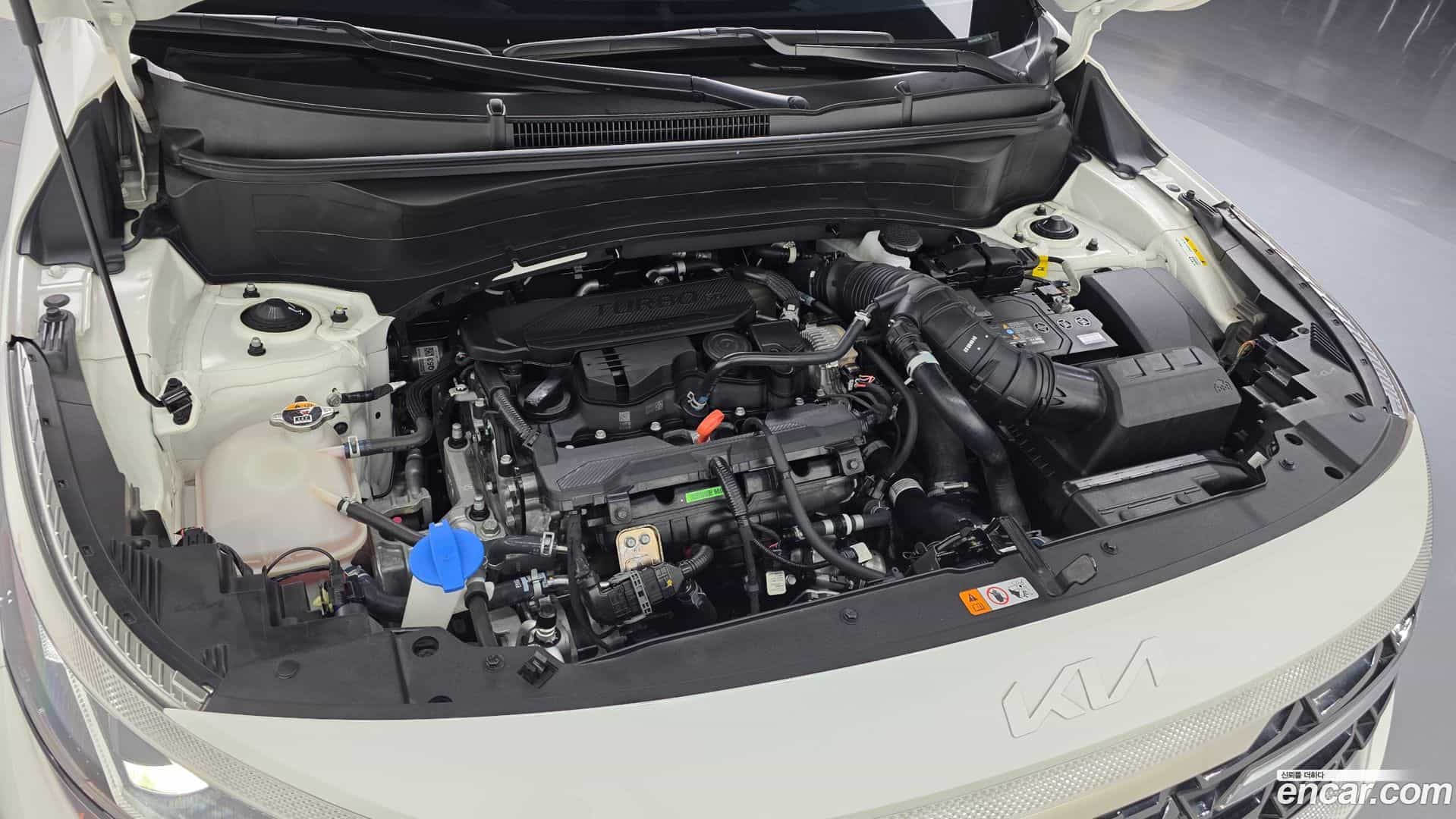 Seltos Kia 2024.8-OUTER-006