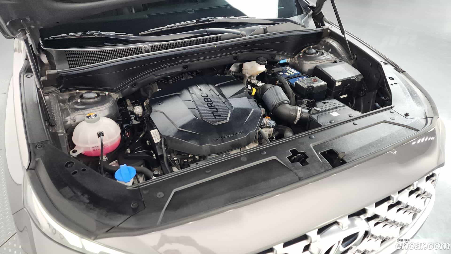 Santafe Hyundai 2020.11-OUTER-006