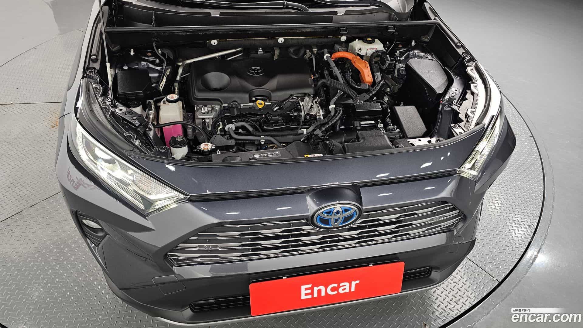 RAV4 Toyota 2019.5-OUTER-006