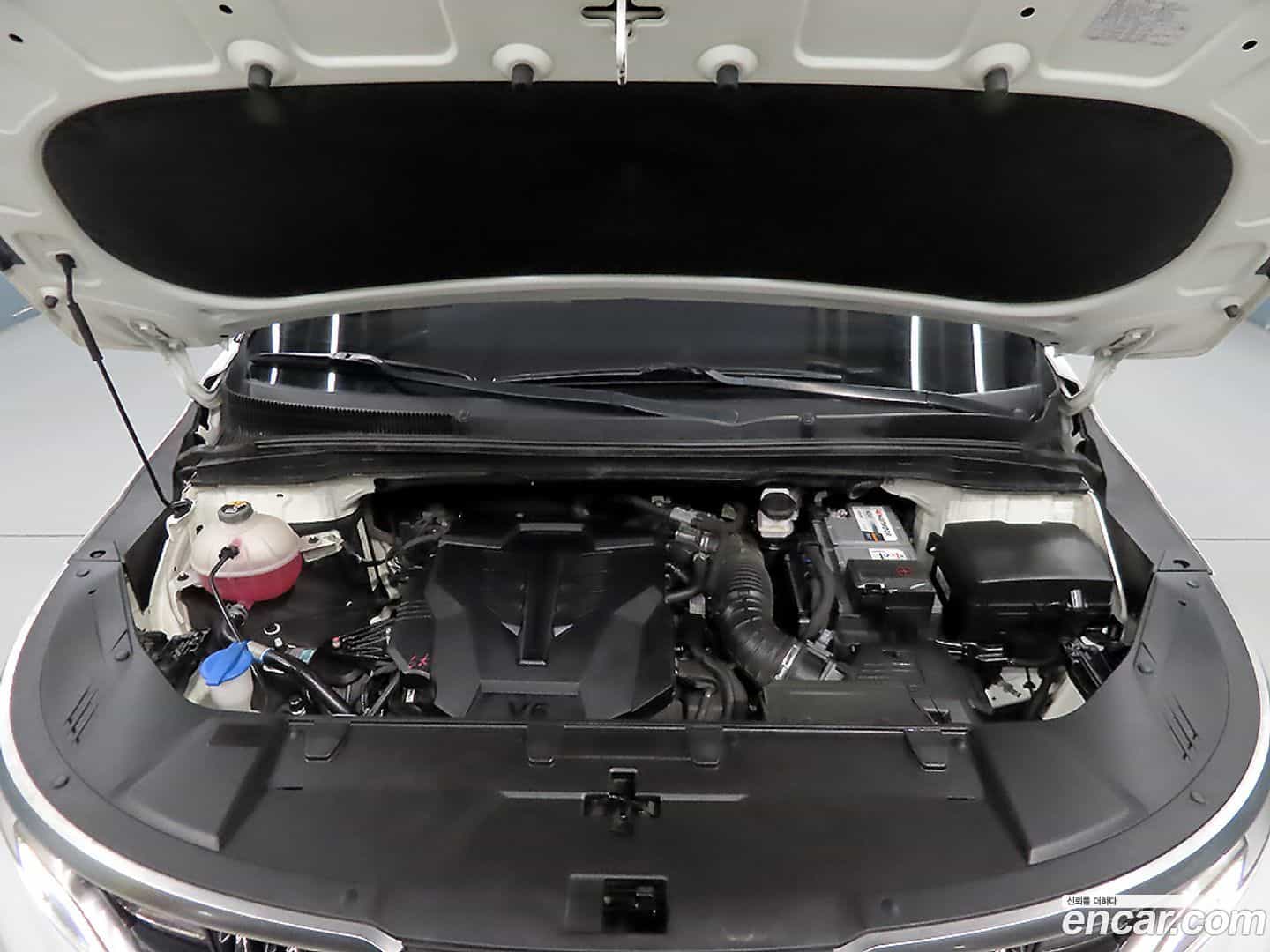 Canival Kia 2022.6-OPTION-023