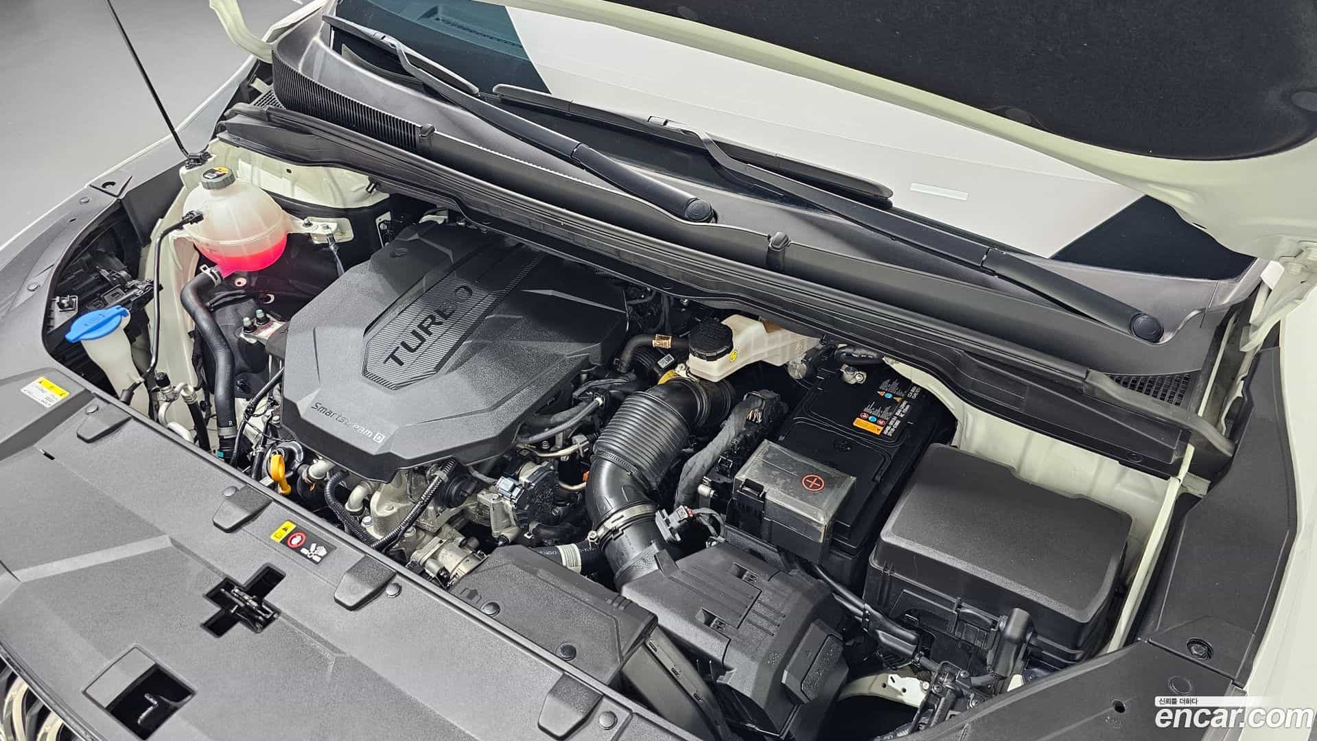 Canival Kia 2023.8-OUTER-006