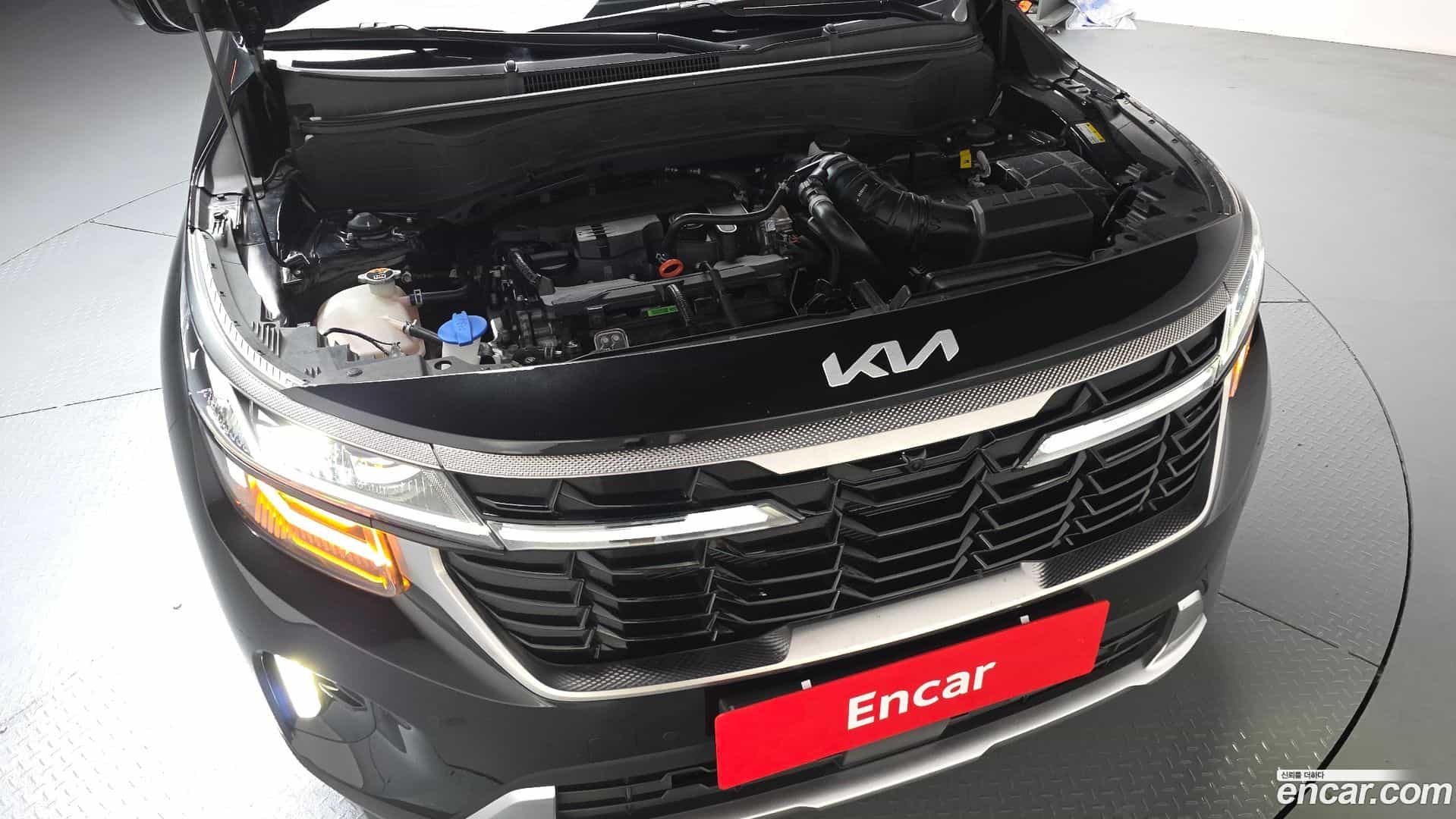 Seltos Kia 2024.3-OUTER-006