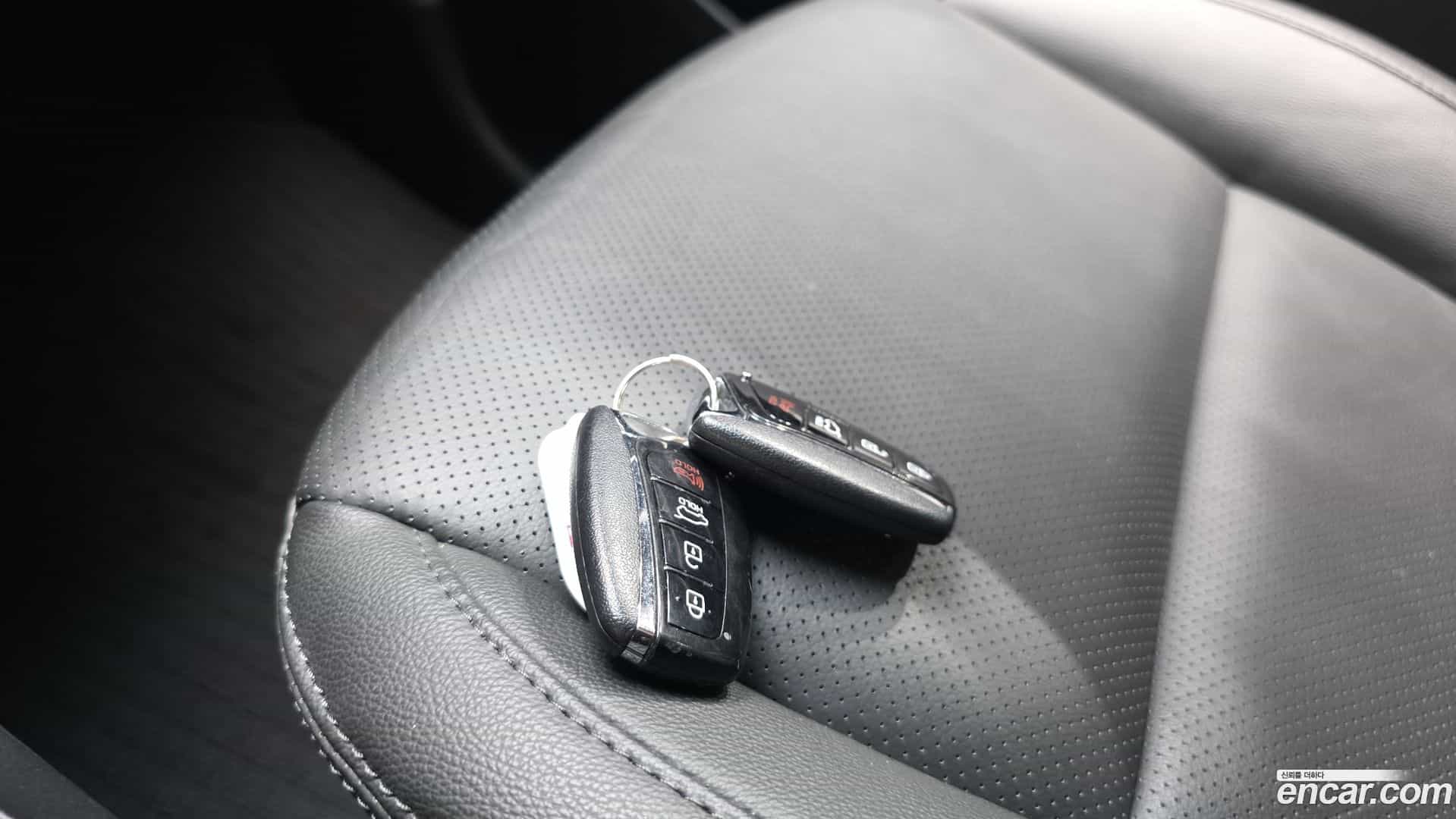 Santafe Hyundai 2017.7-OPTION-052