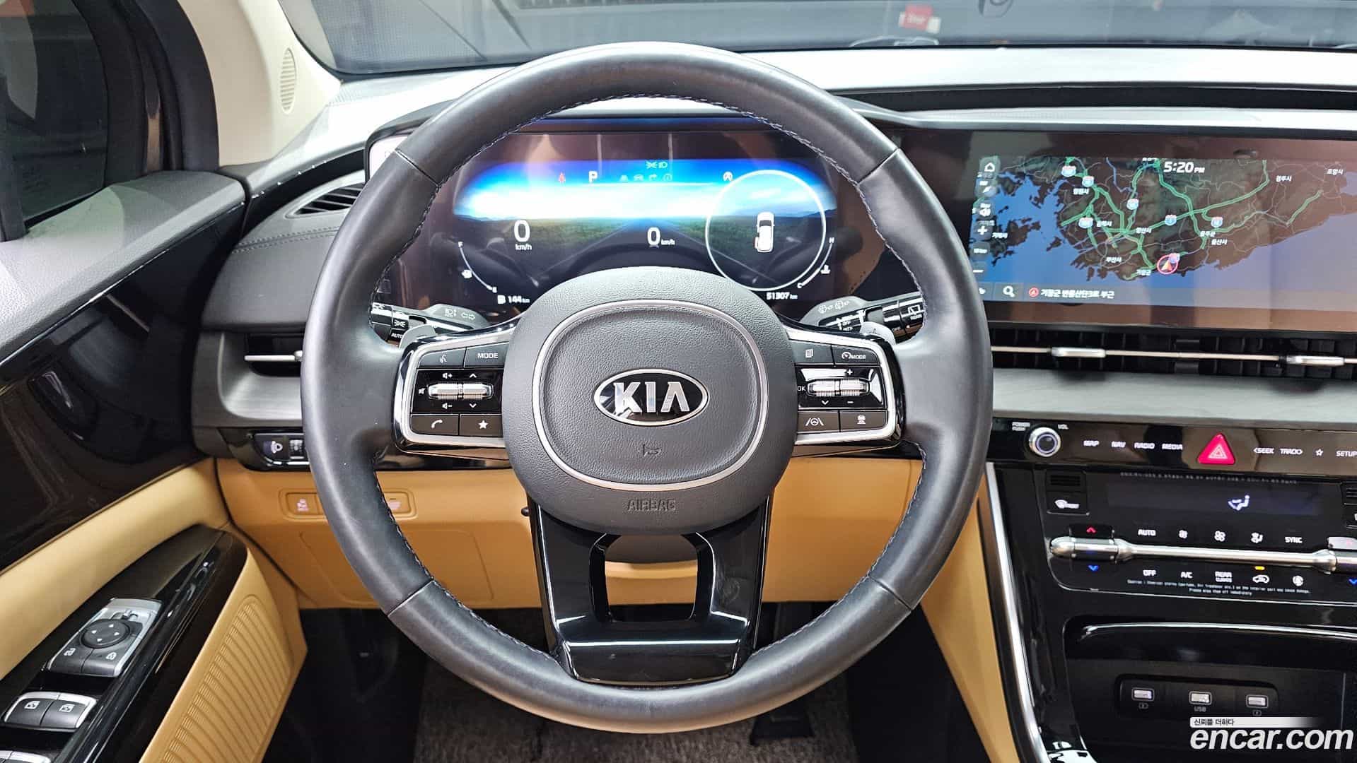 Canival Kia 2020.10-OPTION-018