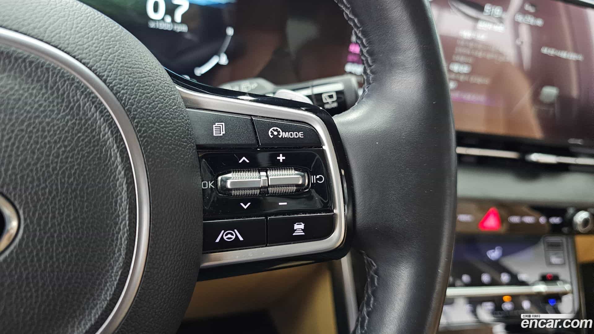 Canival Kia 2020.10-OPTION-040