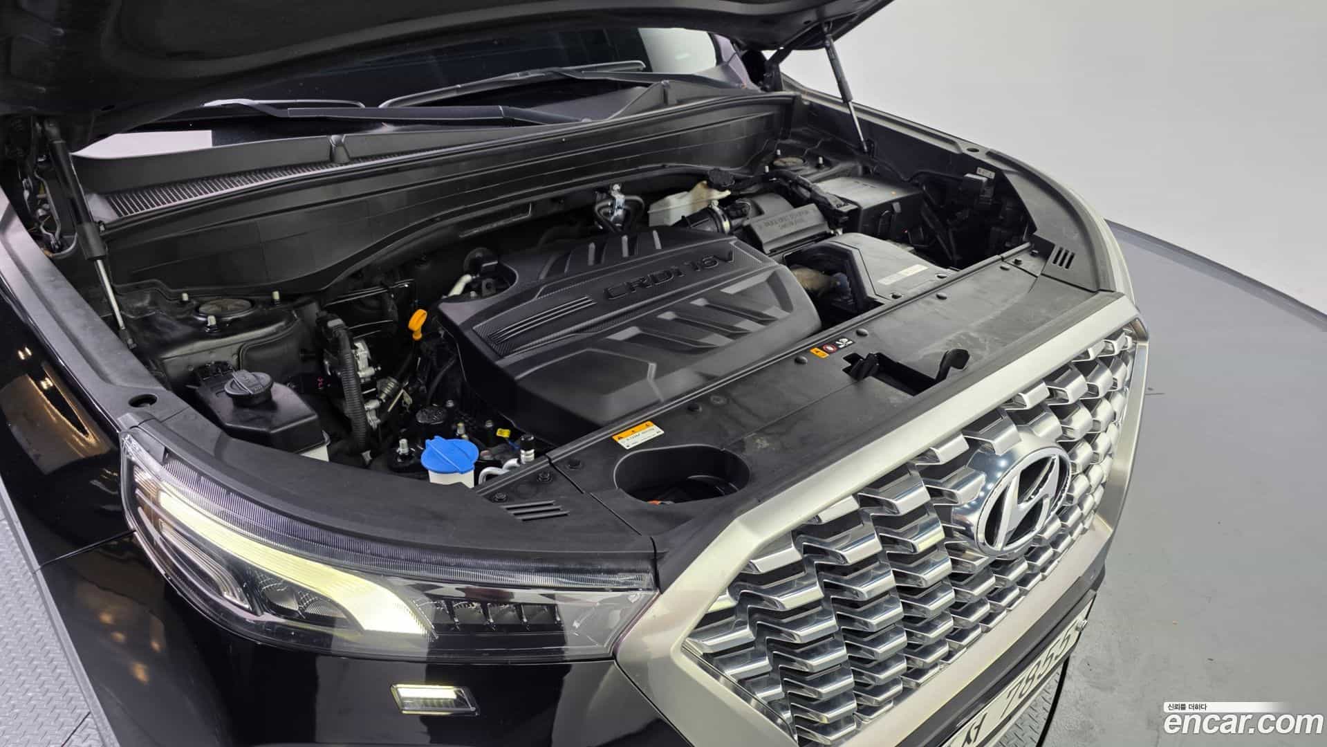 Palisade Hyundai 2019.4-OUTER-006