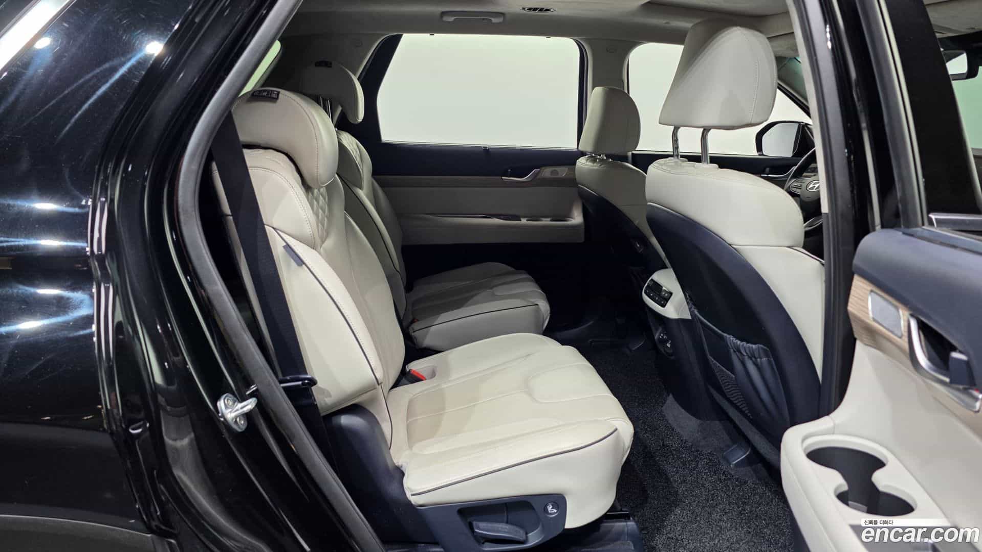 Palisade Hyundai 2019.4-OPTION-016
